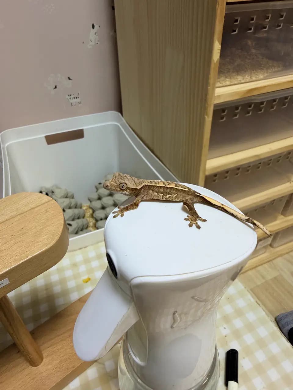 상품 이미지 1