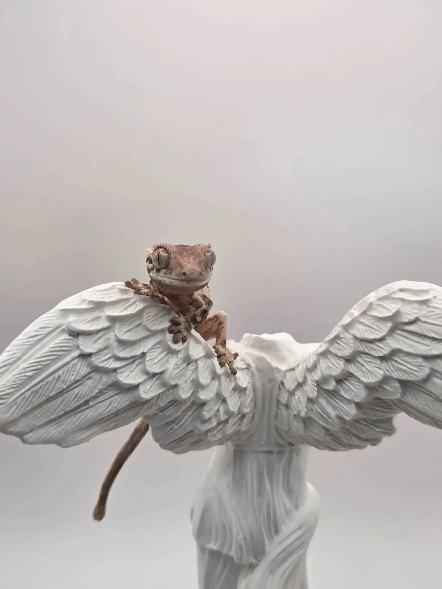 상품 이미지 3