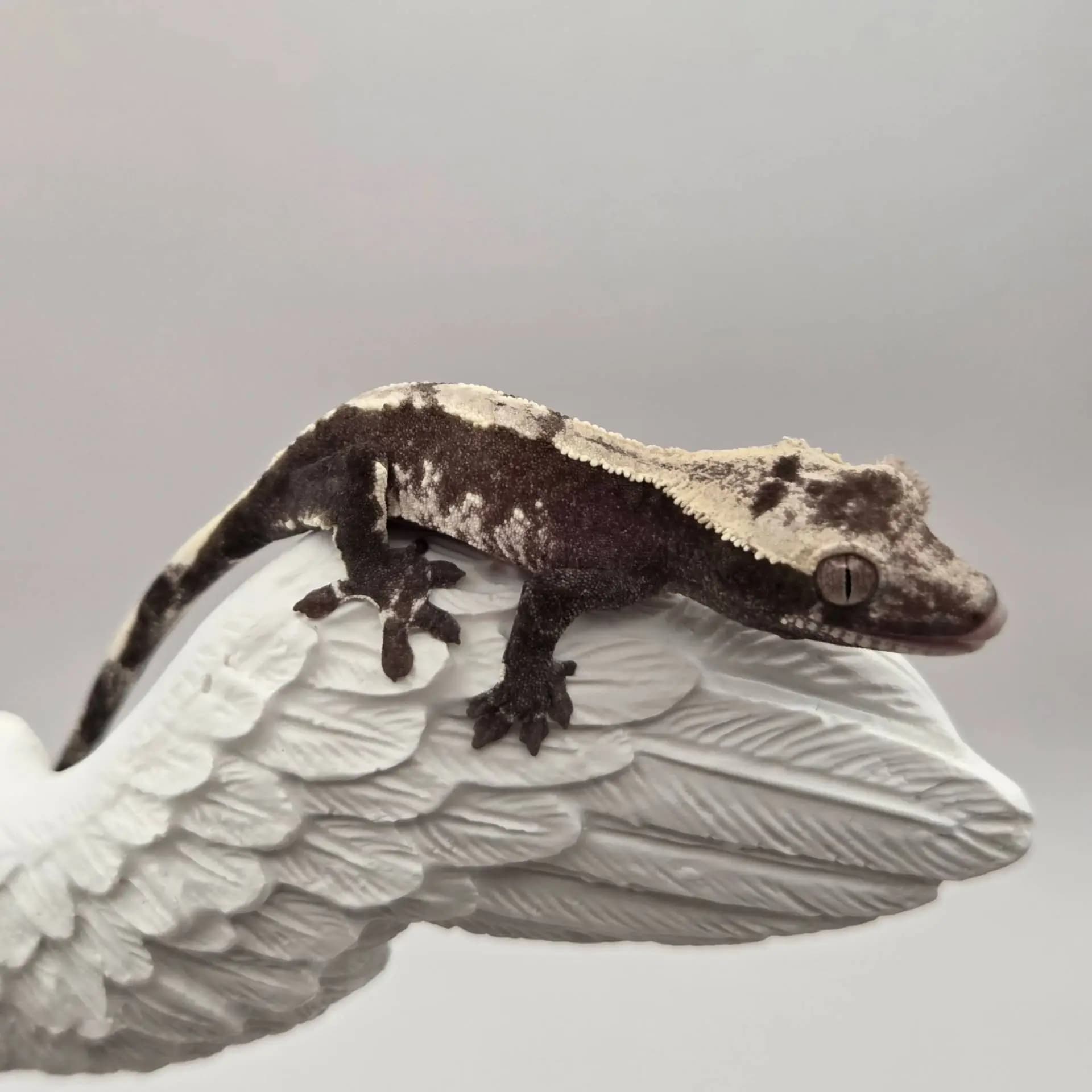 상품 이미지 3