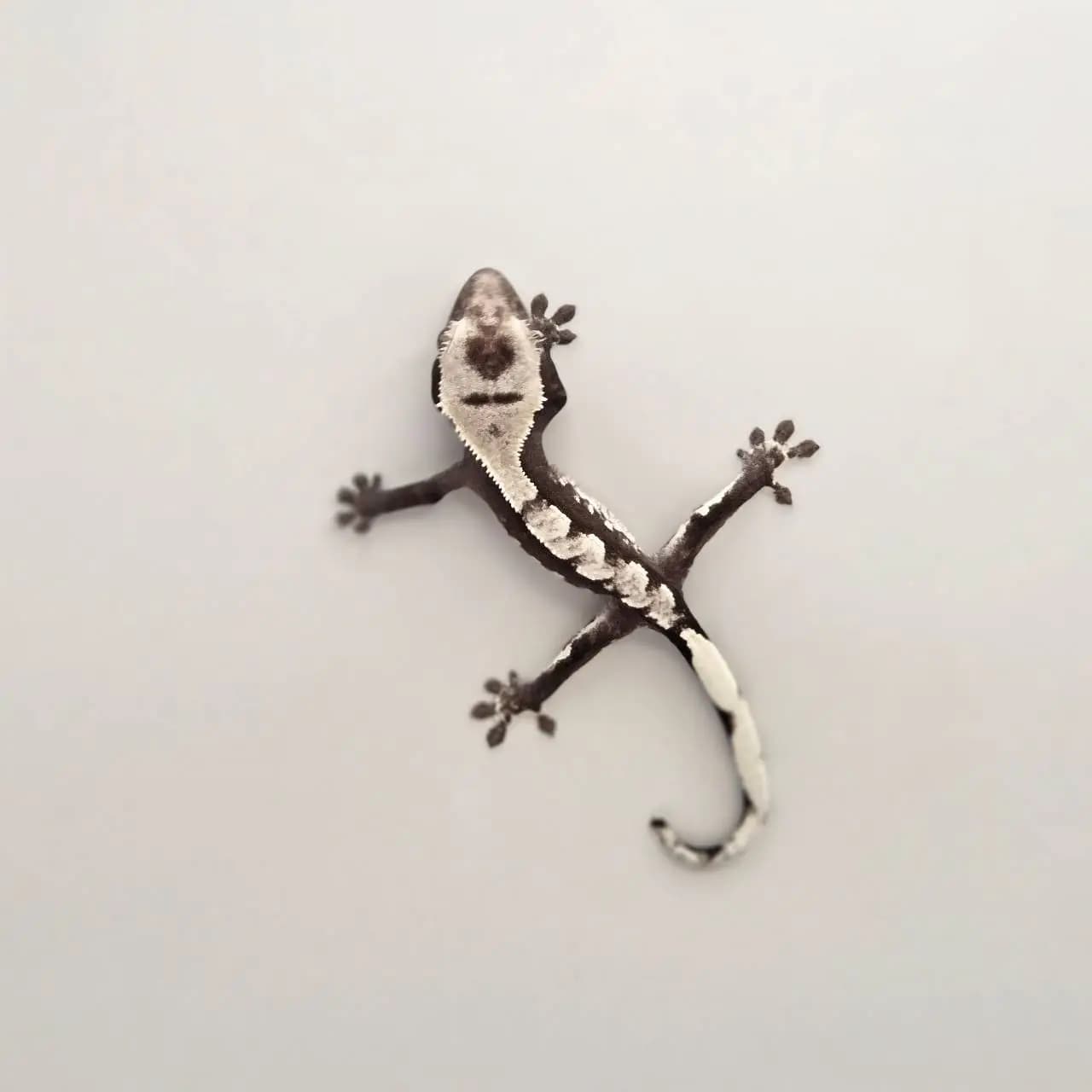 상품 이미지 3