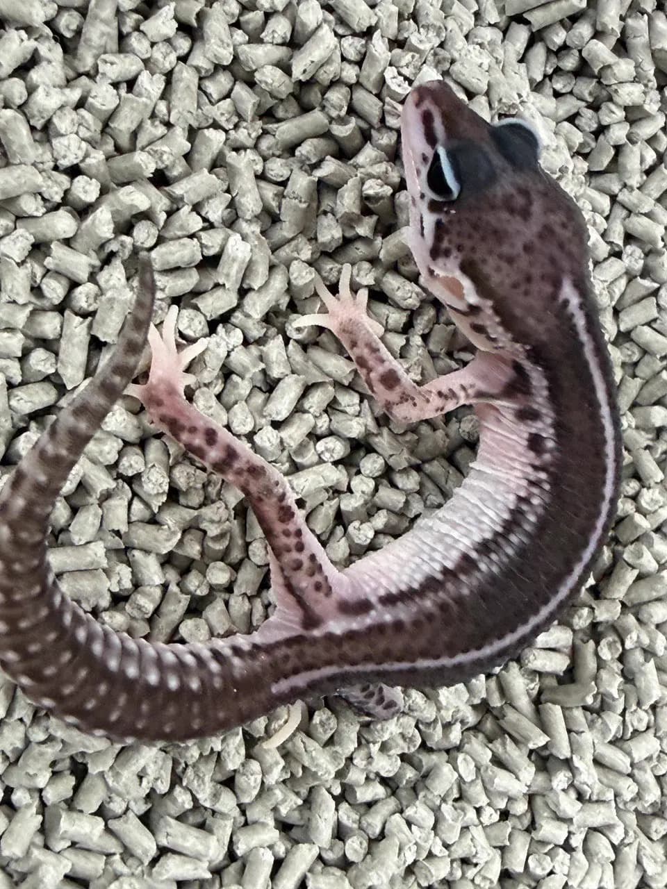 상품 이미지 2