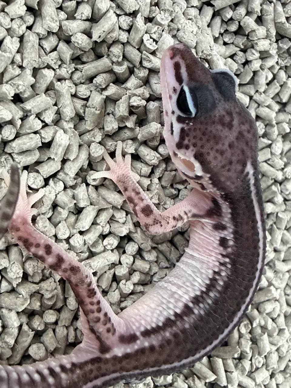 상품 이미지 3