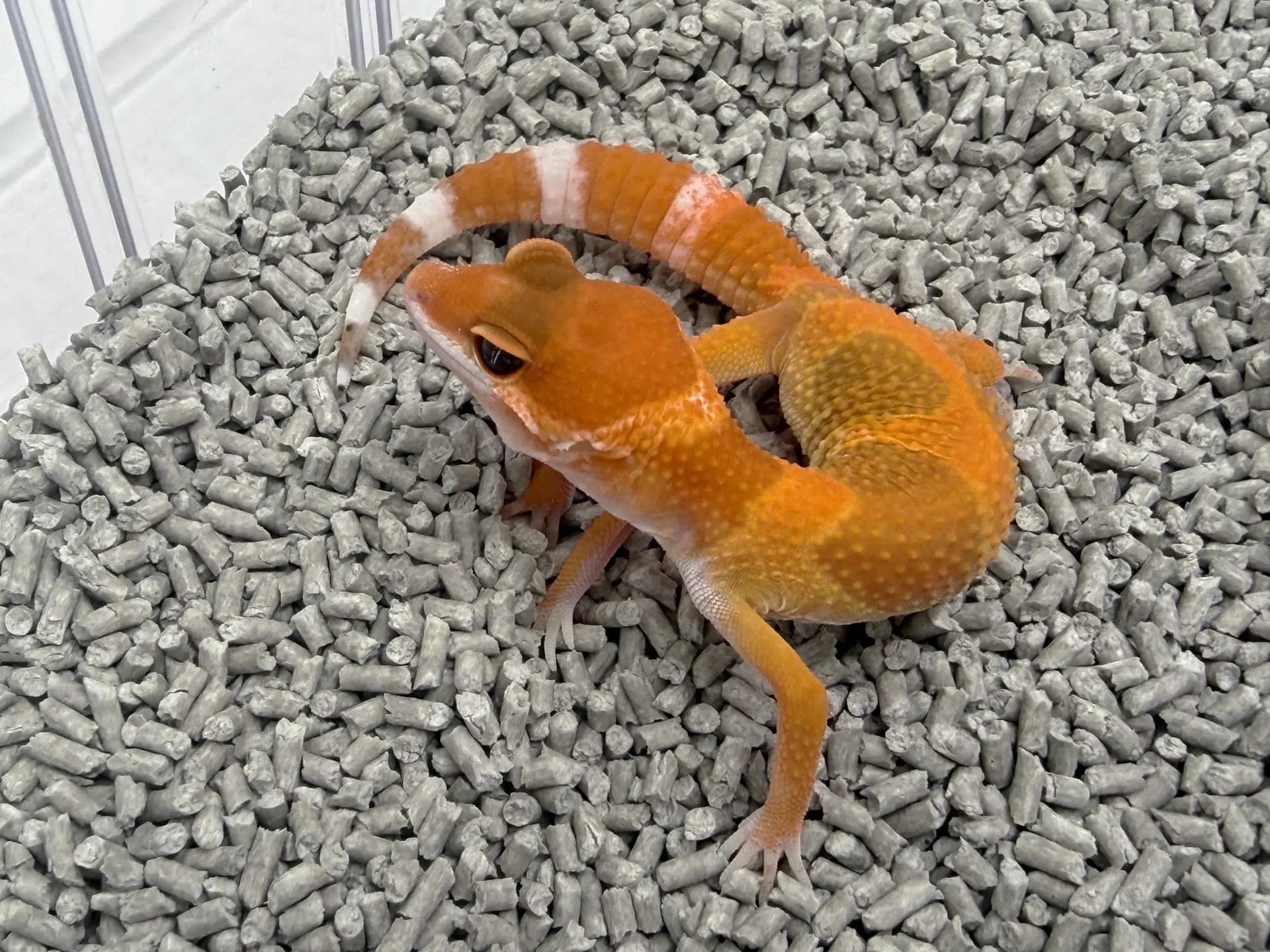 상품 이미지 1