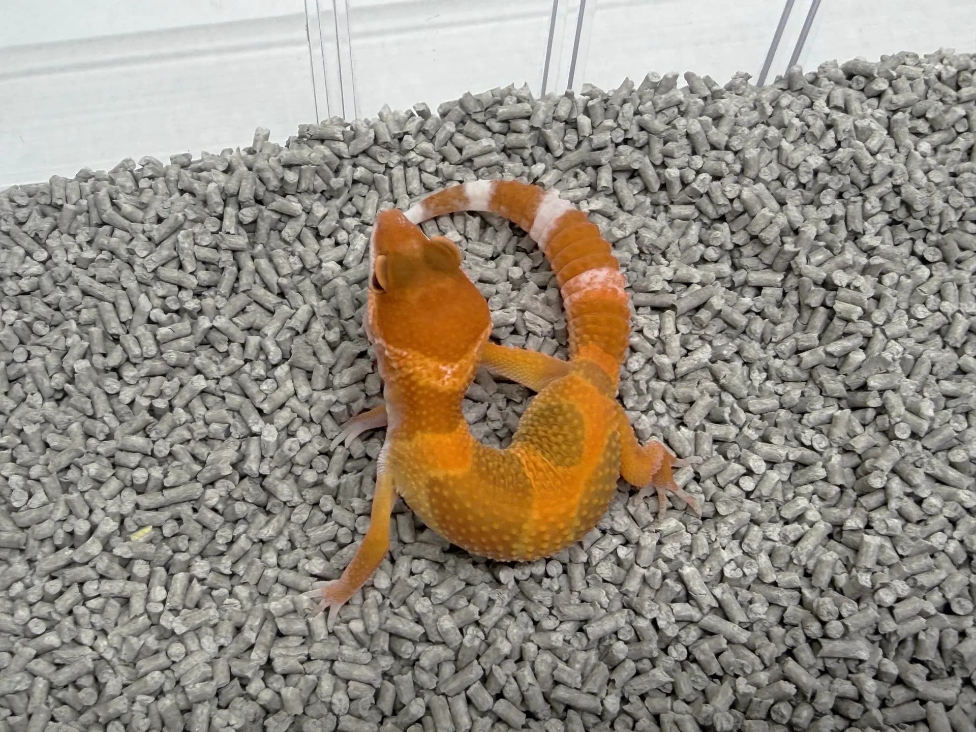 상품 이미지 3