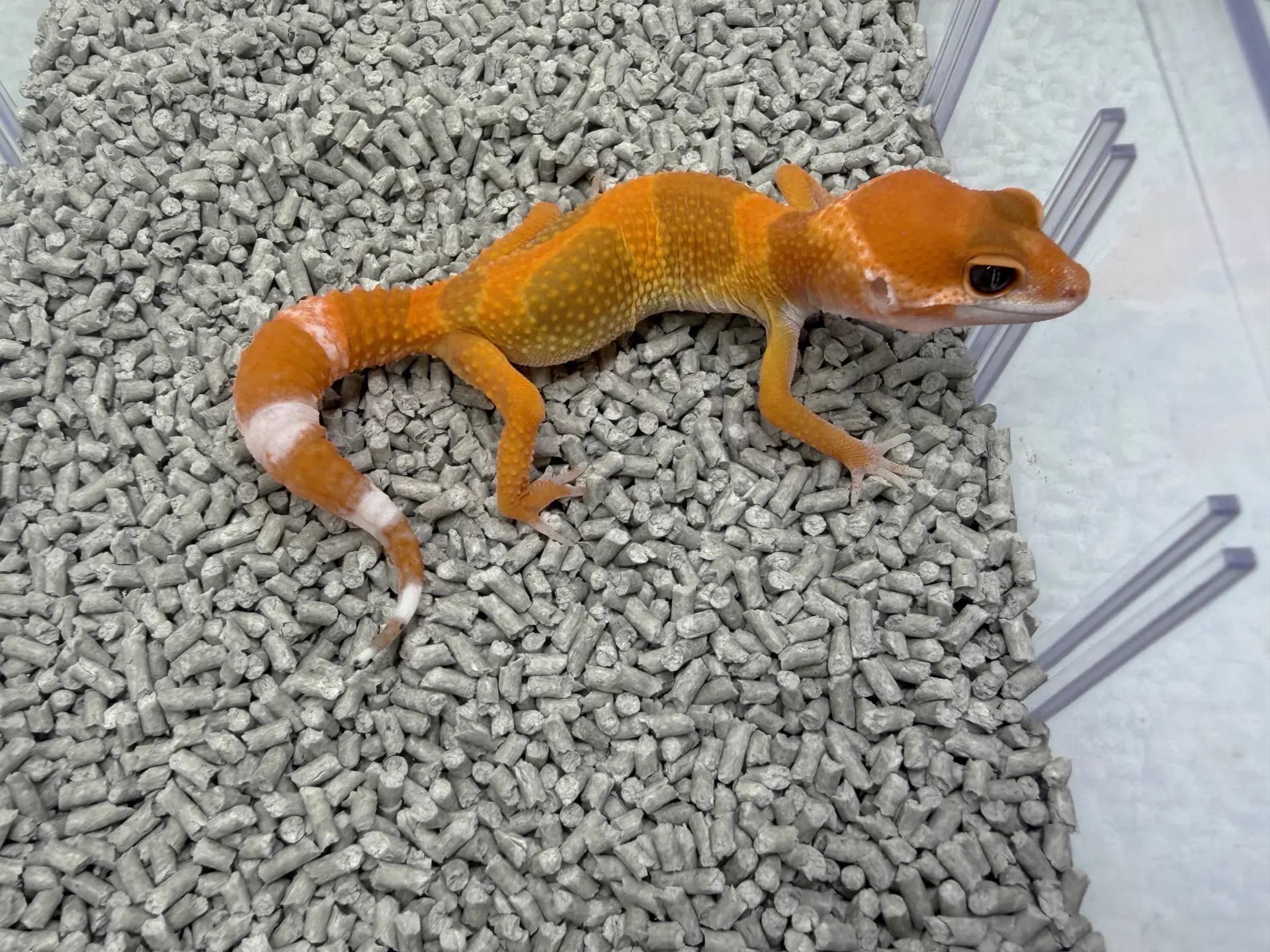 상품 이미지 2