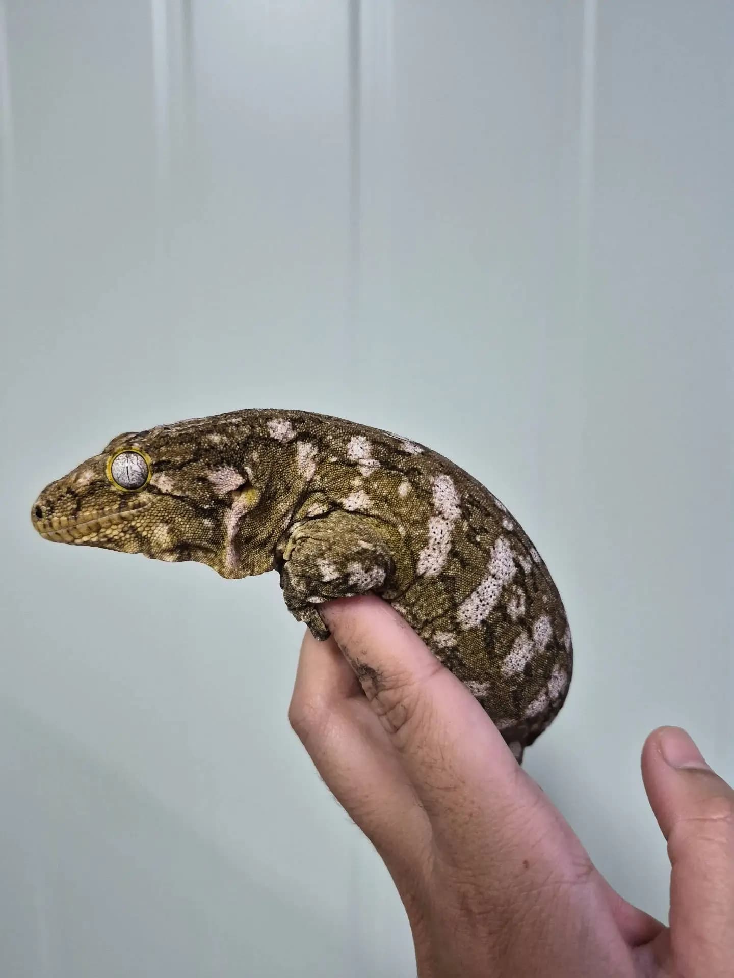 상품 이미지 3