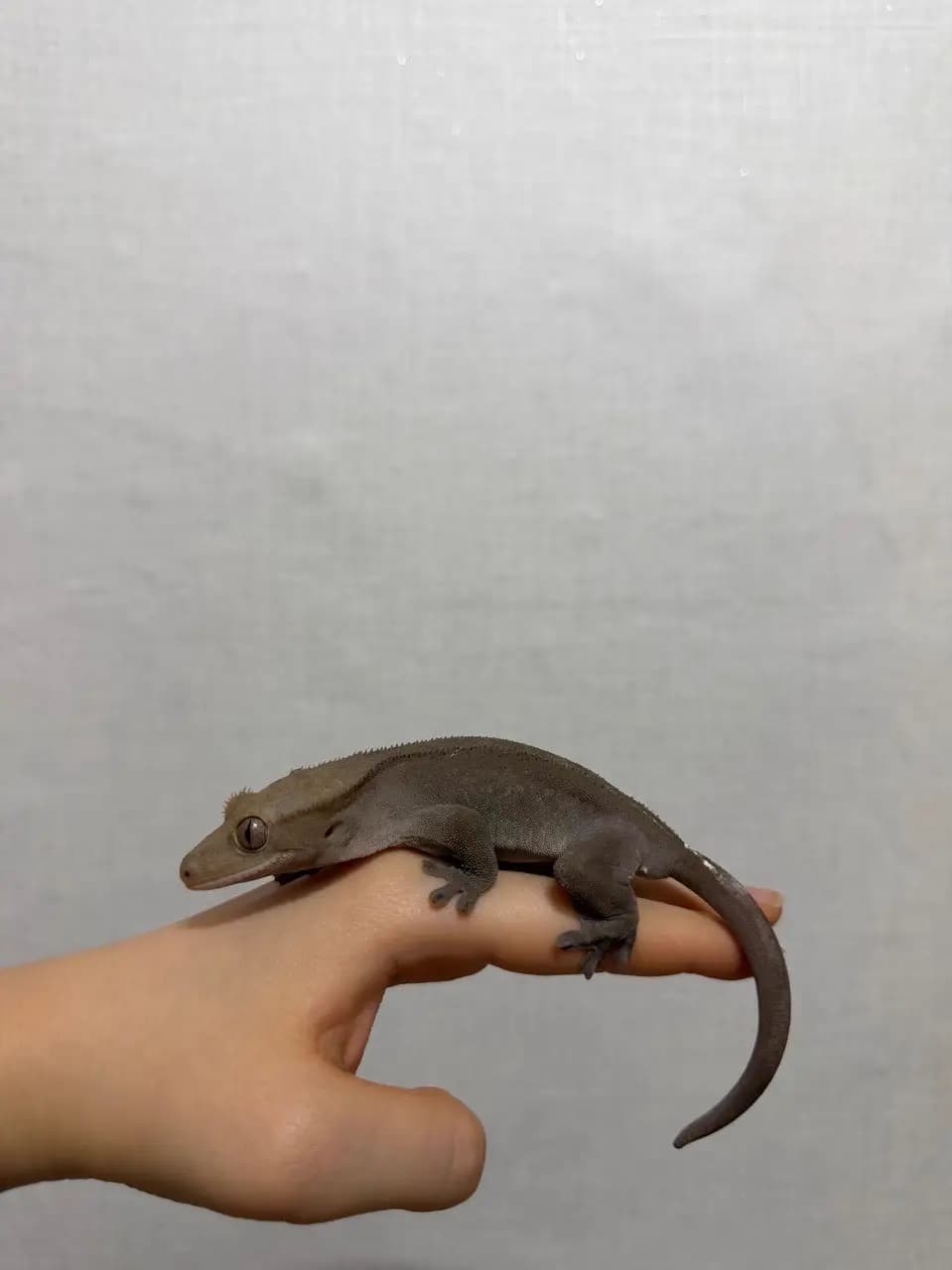상품 이미지 3