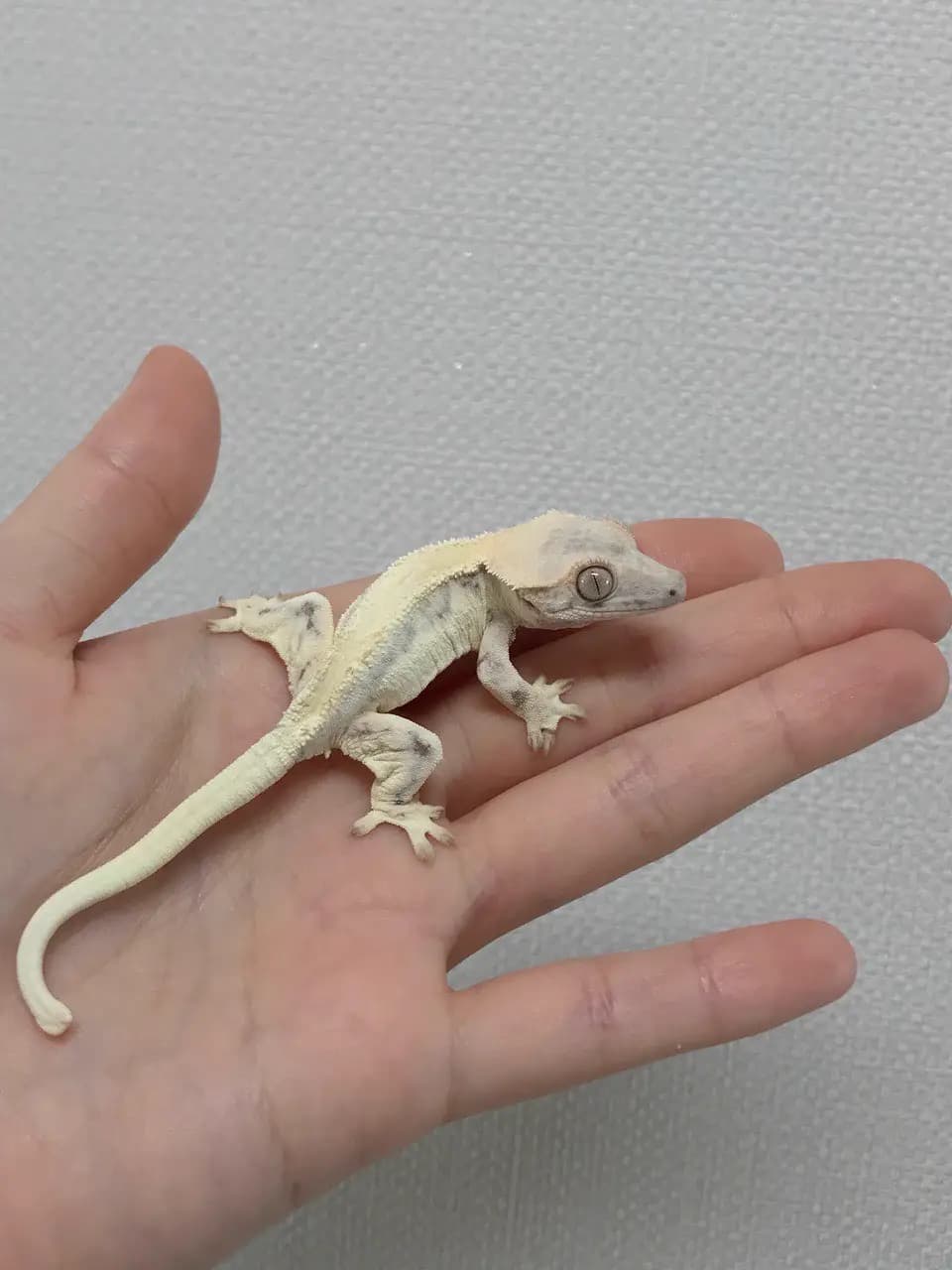 상품 이미지 1
