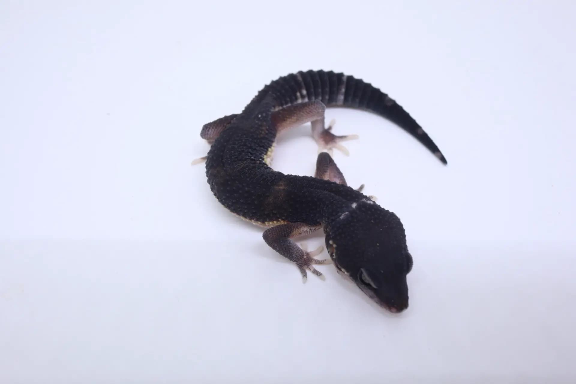 상품 이미지 1