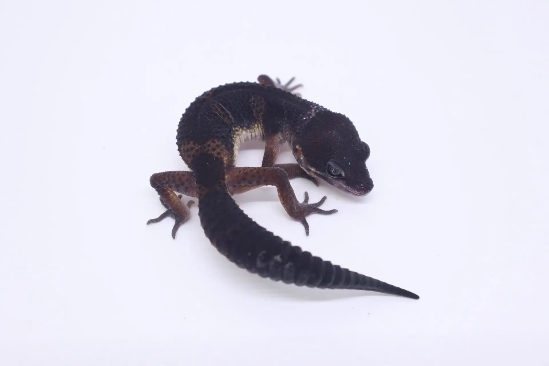 상품 이미지 1