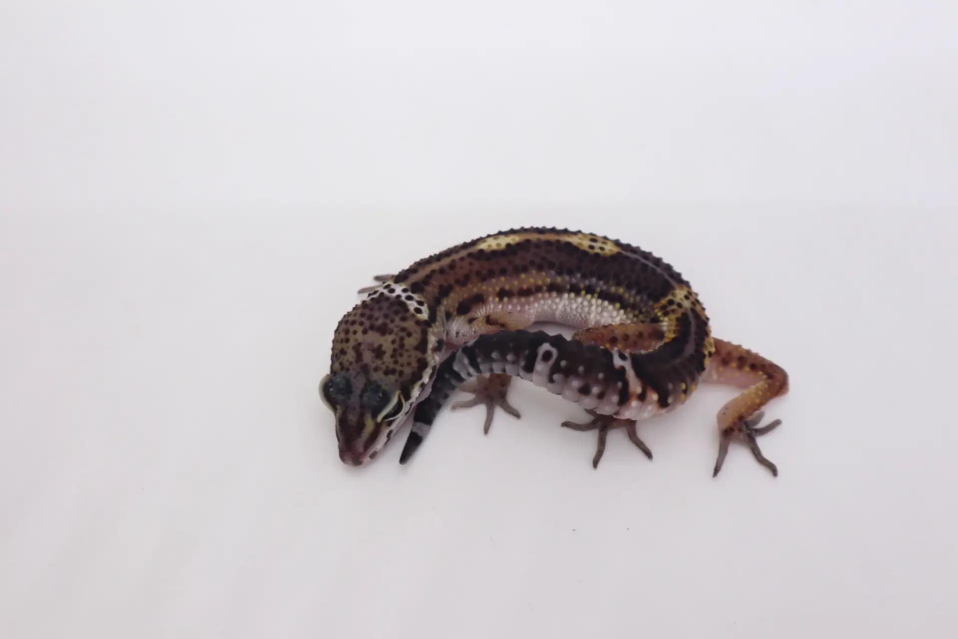 상품 이미지 1