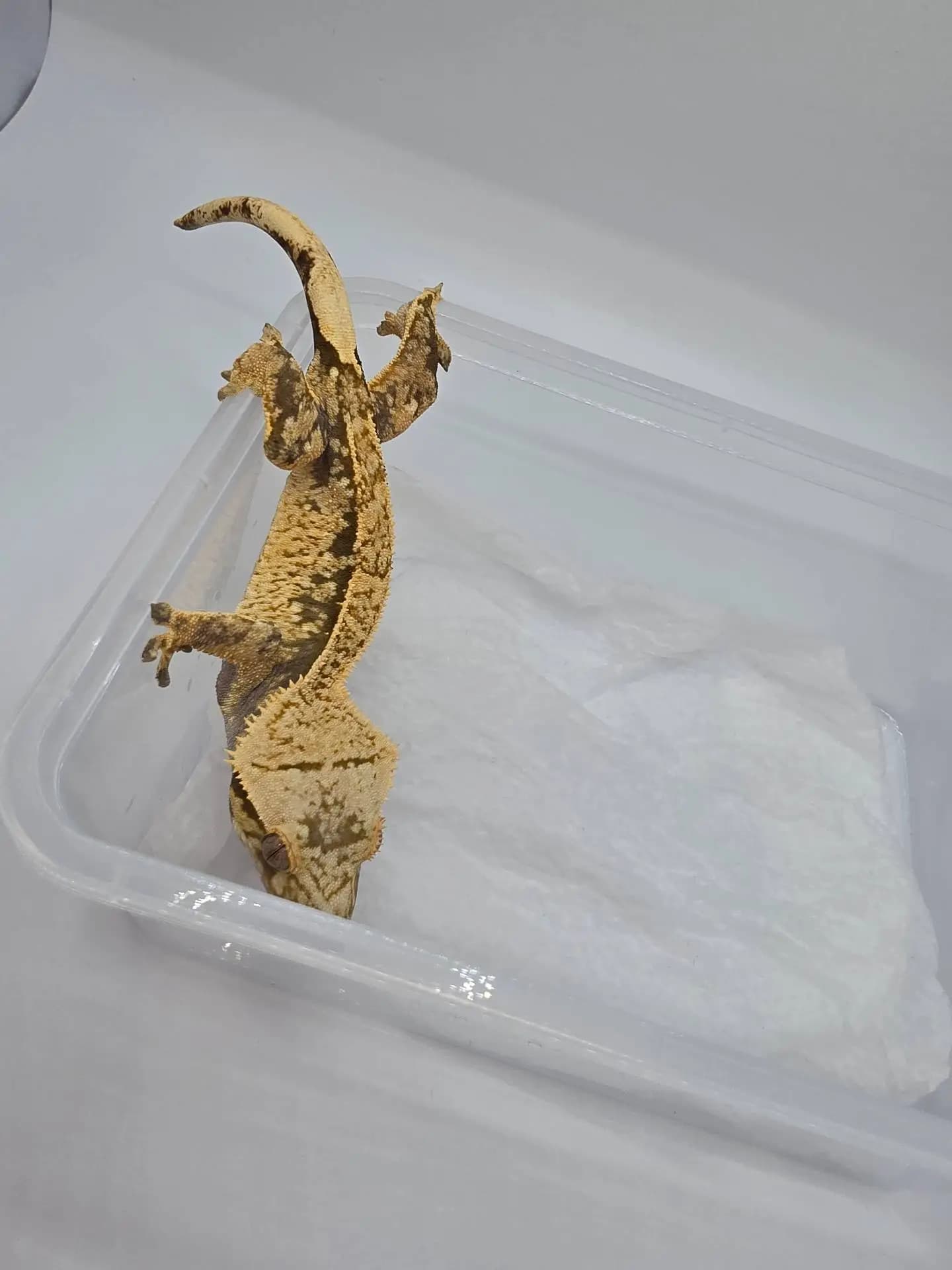 상품 이미지 4