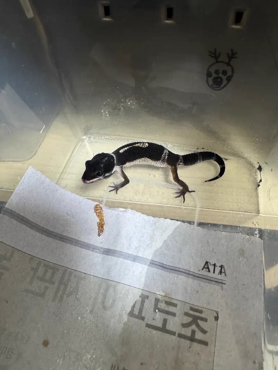 상품 이미지 1