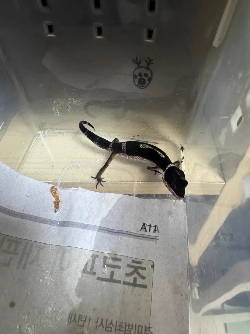 상품 이미지 2