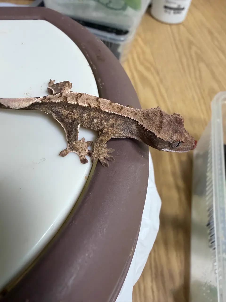 상품 이미지 2