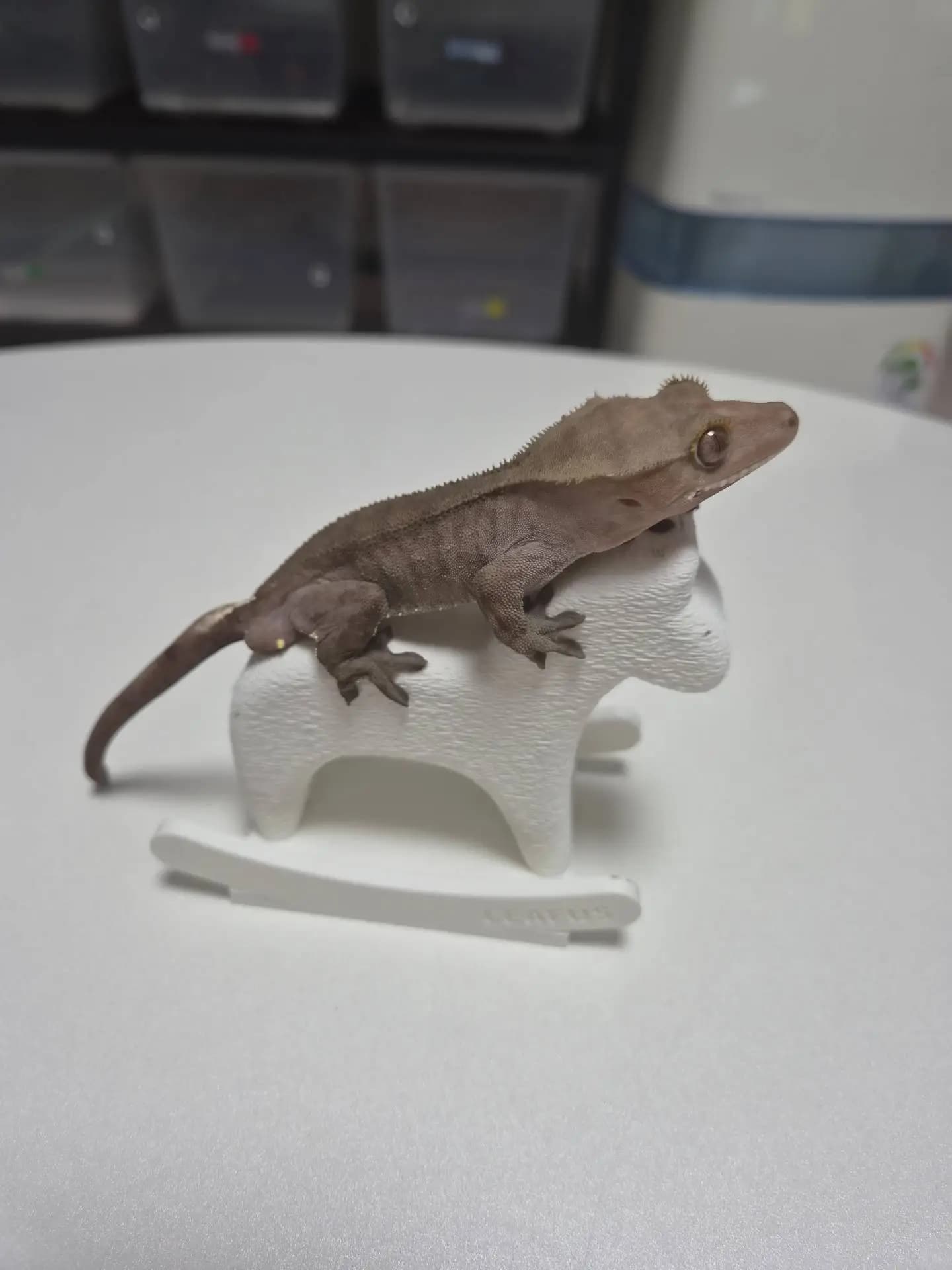 상품 이미지 2