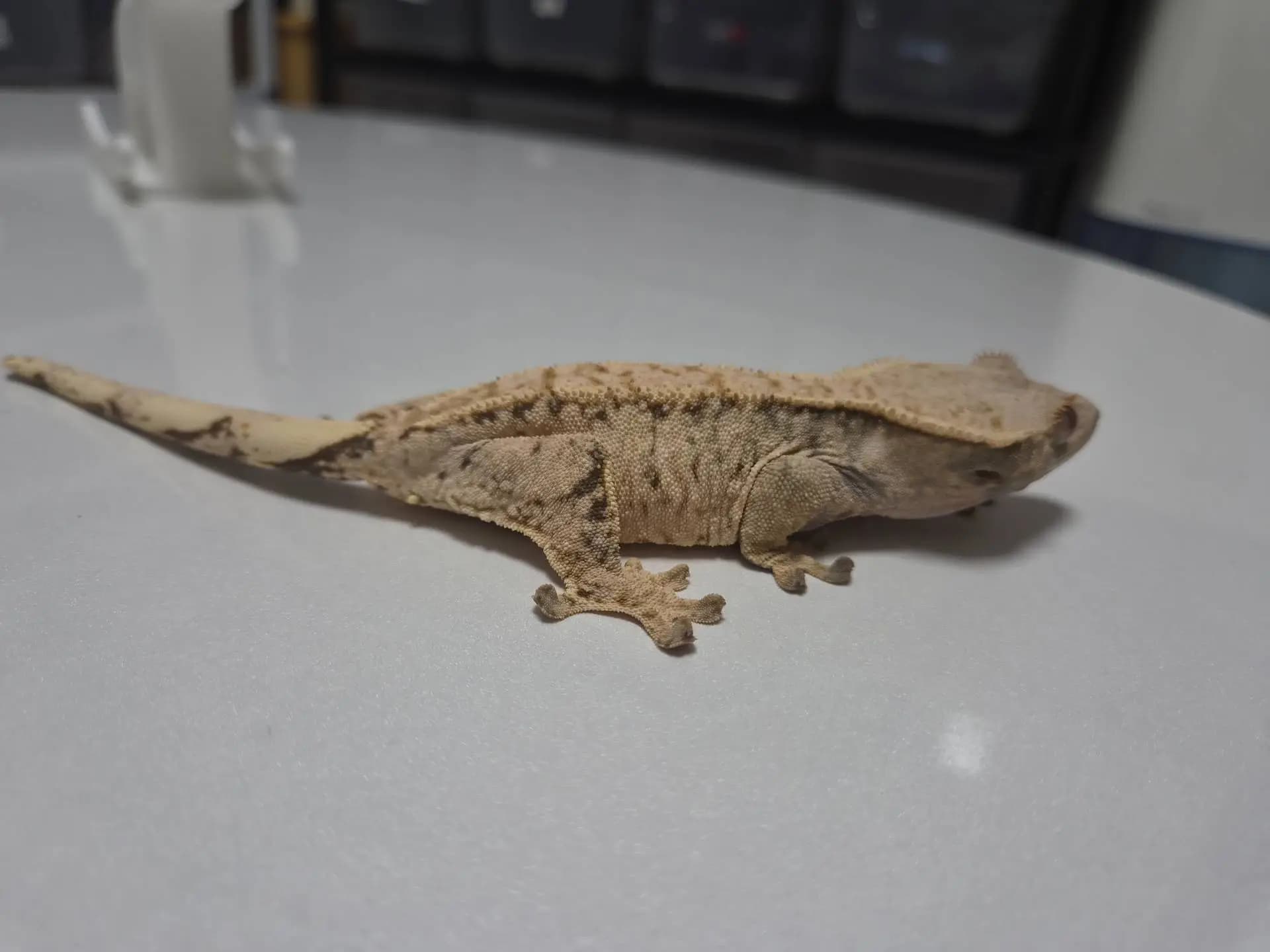 상품 이미지 3