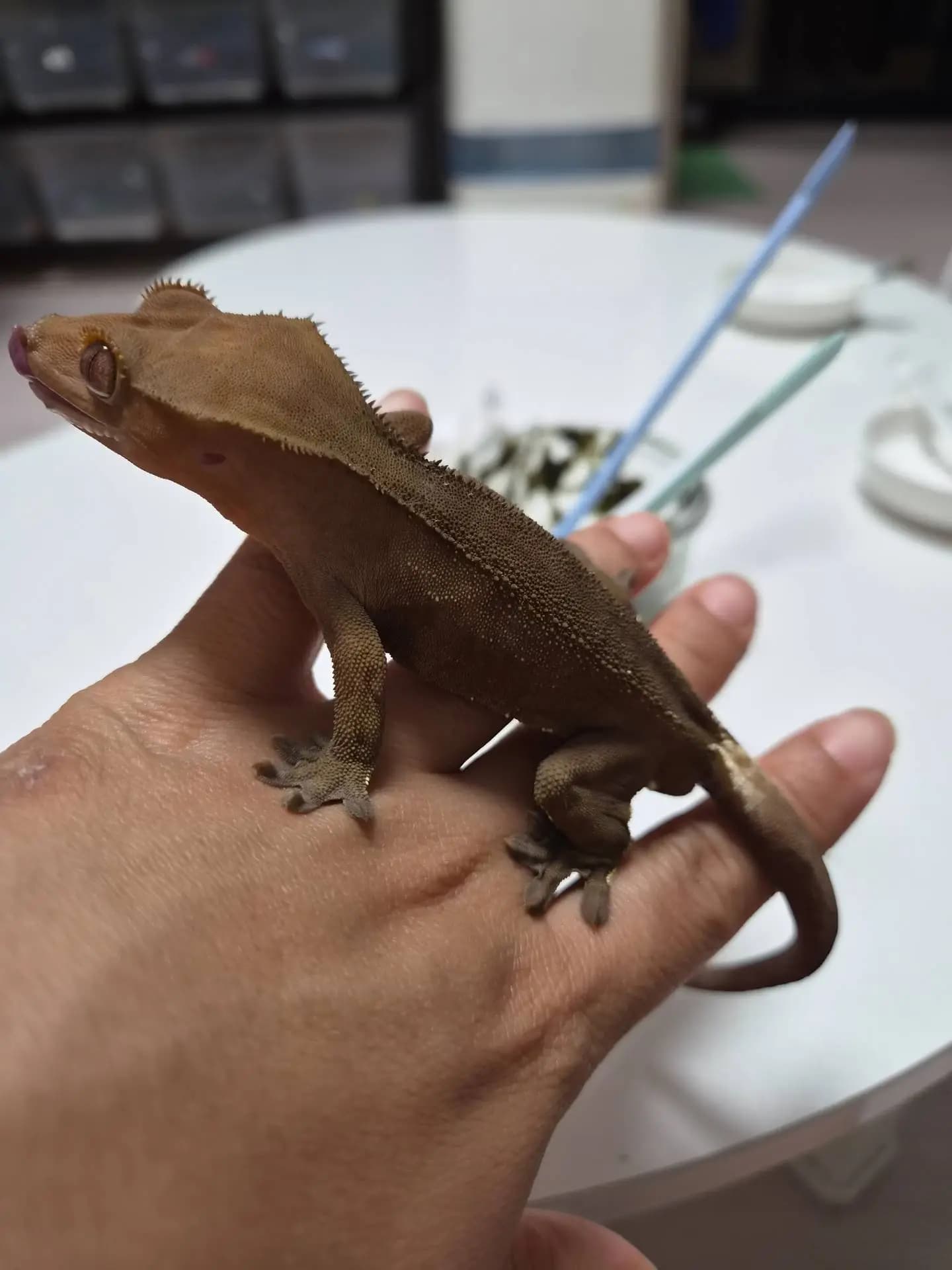 상품 이미지 3