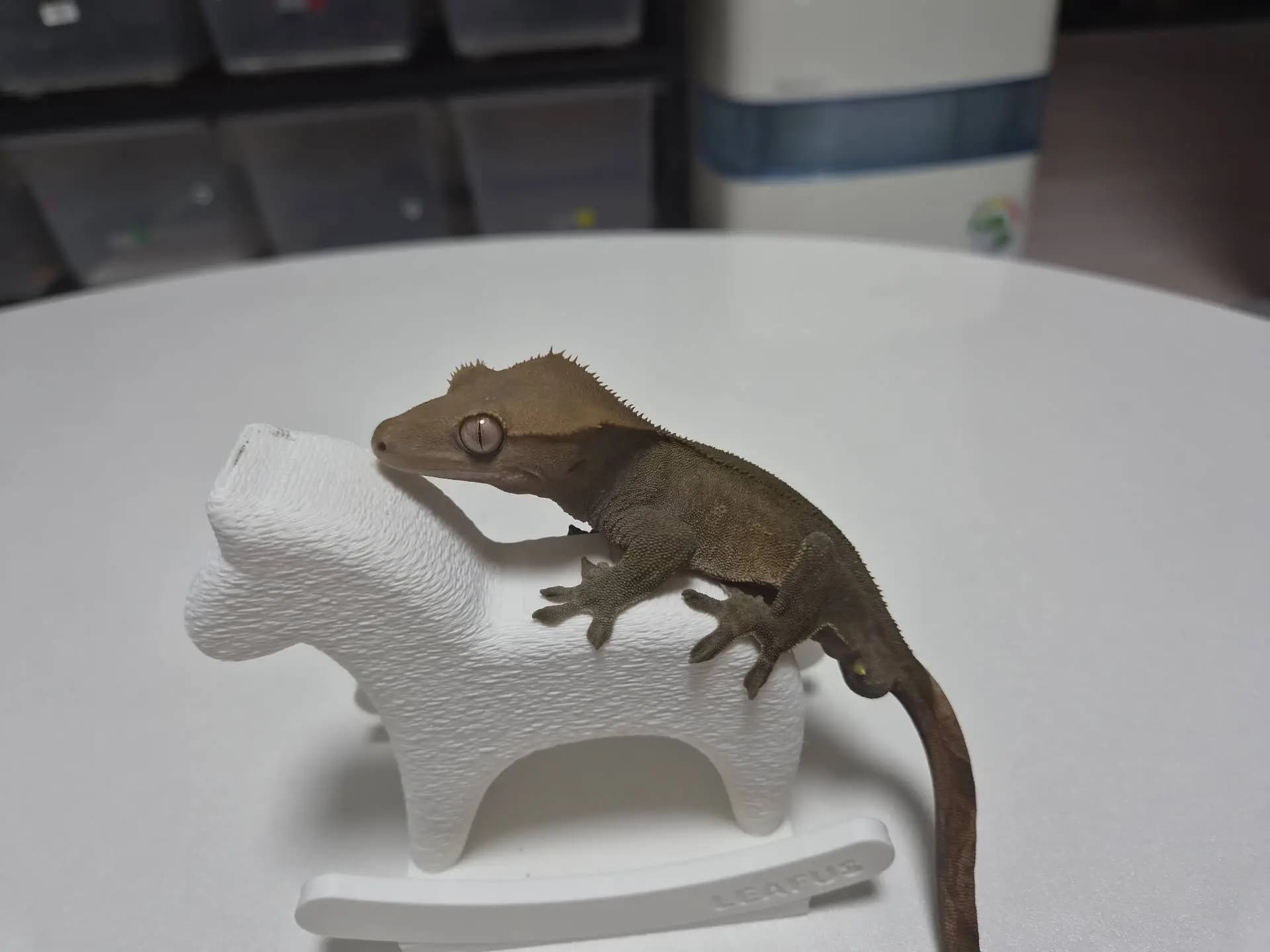 상품 이미지 2