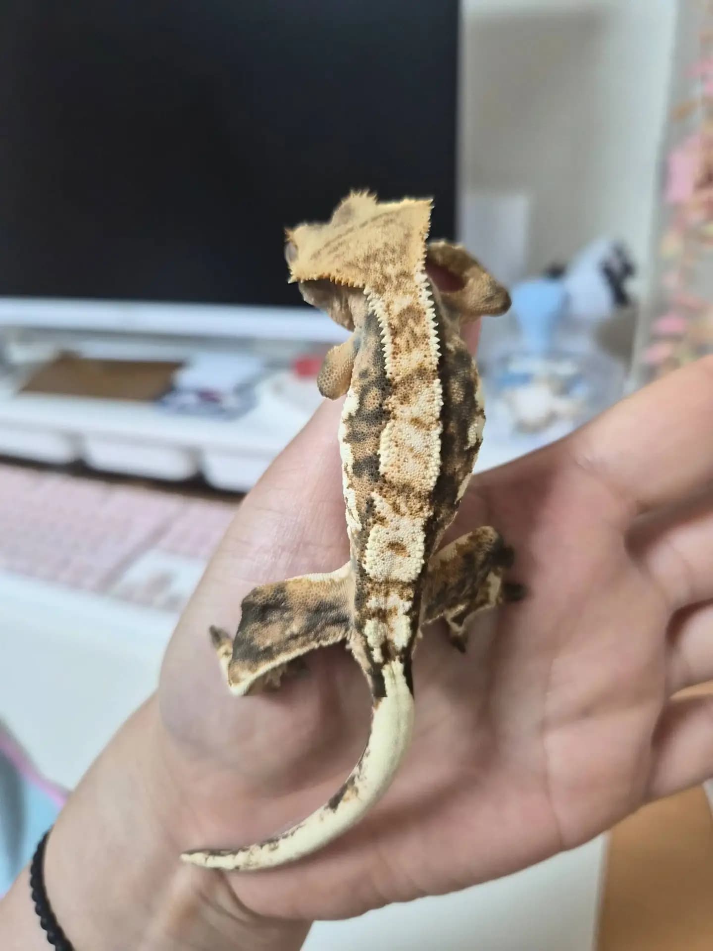 상품 이미지 6