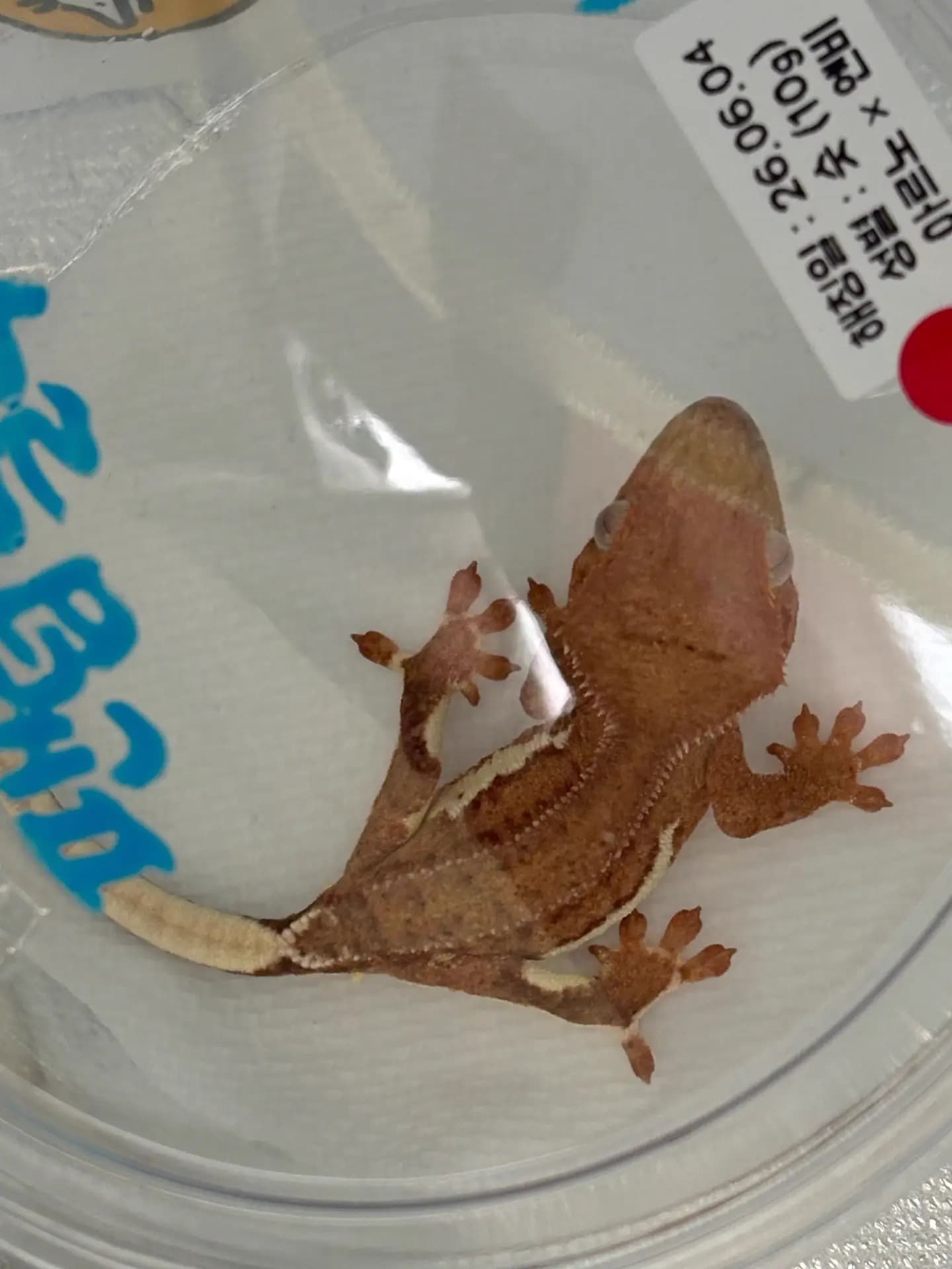 상품 이미지 2