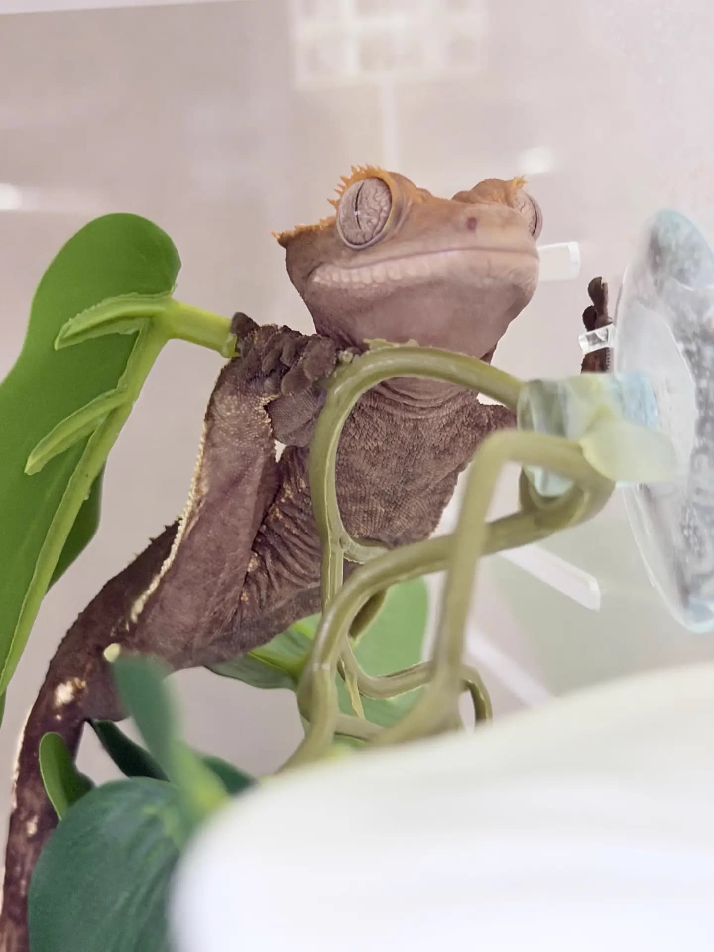 상품 이미지 4