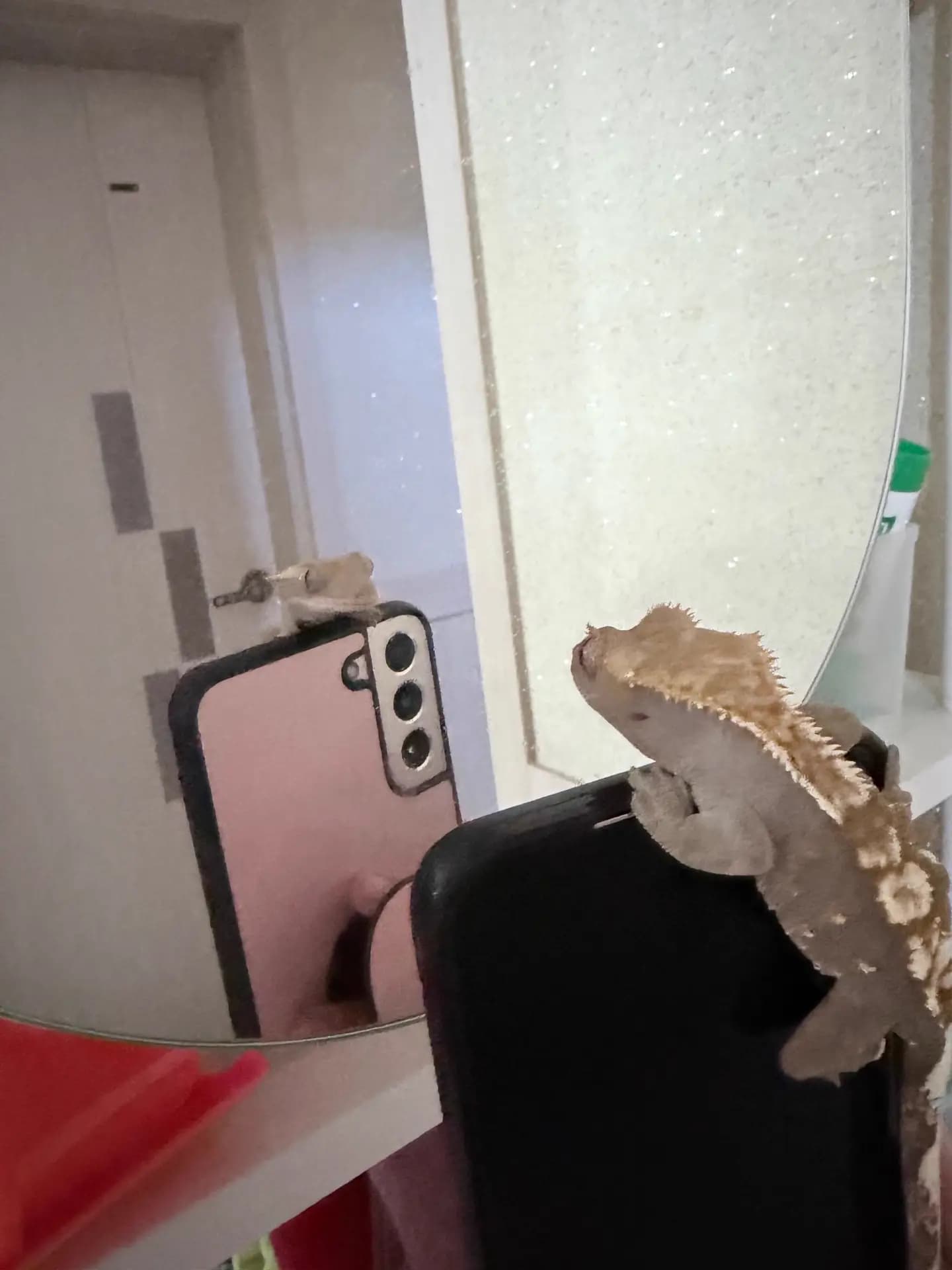 상품 이미지 3