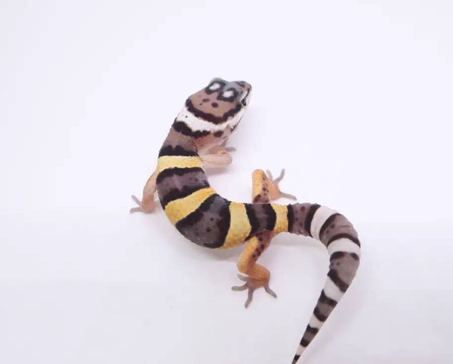 상품 이미지 1