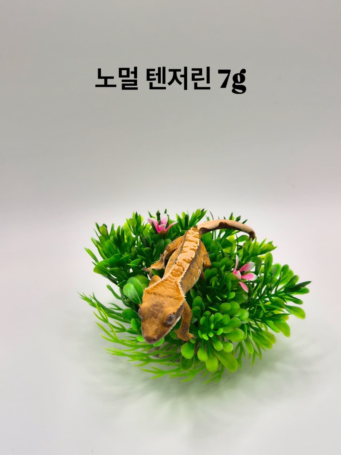 상품 이미지 1