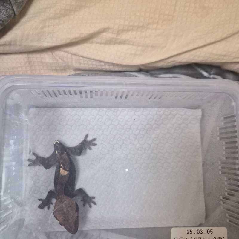 상품 이미지 2