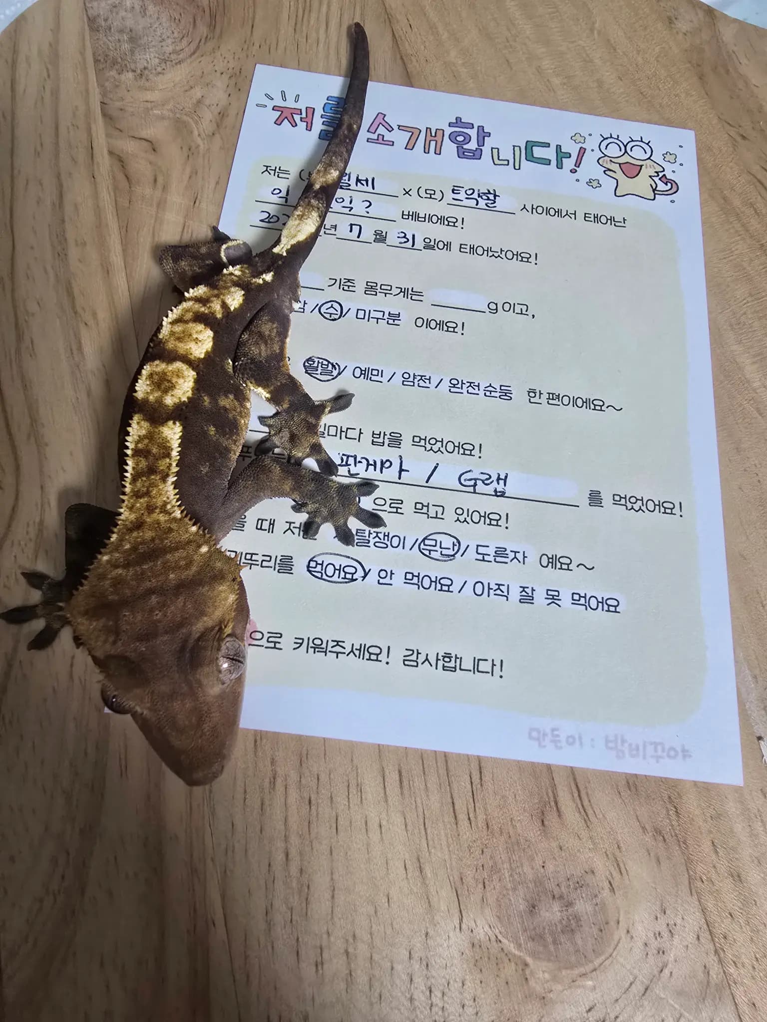 상품 이미지 1
