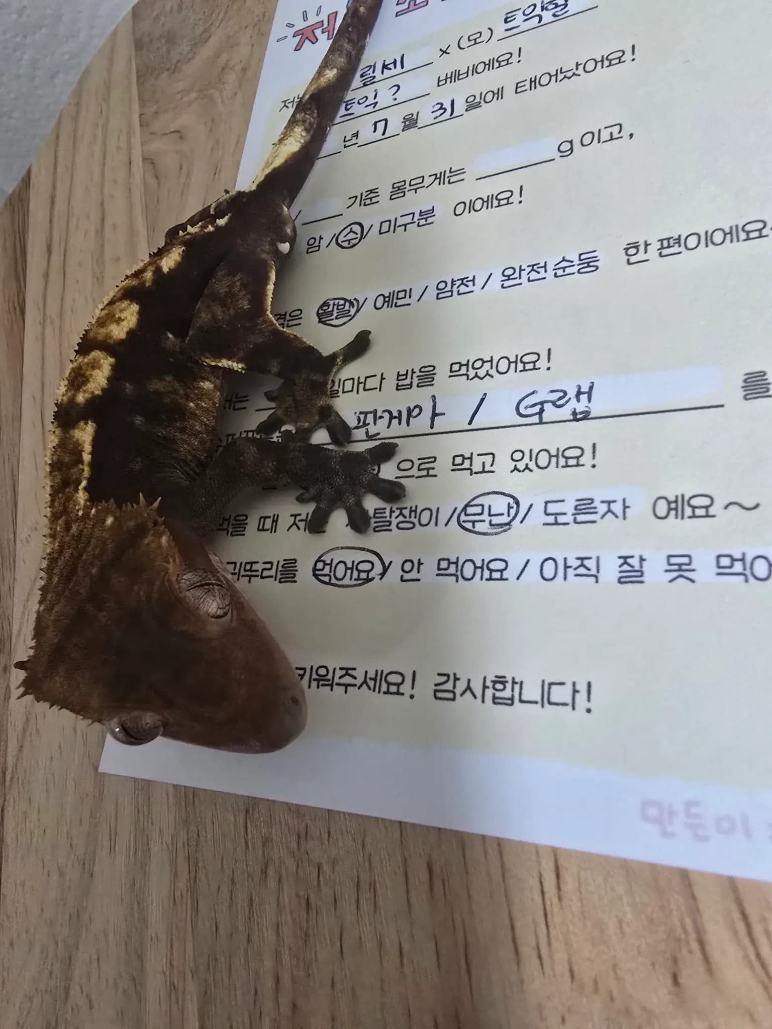 상품 이미지 2