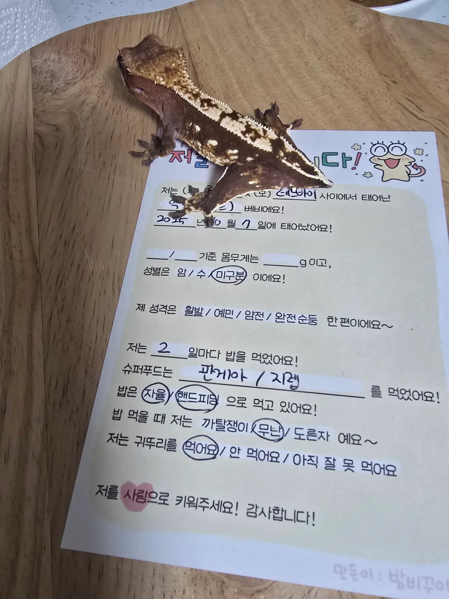 상품 이미지 1