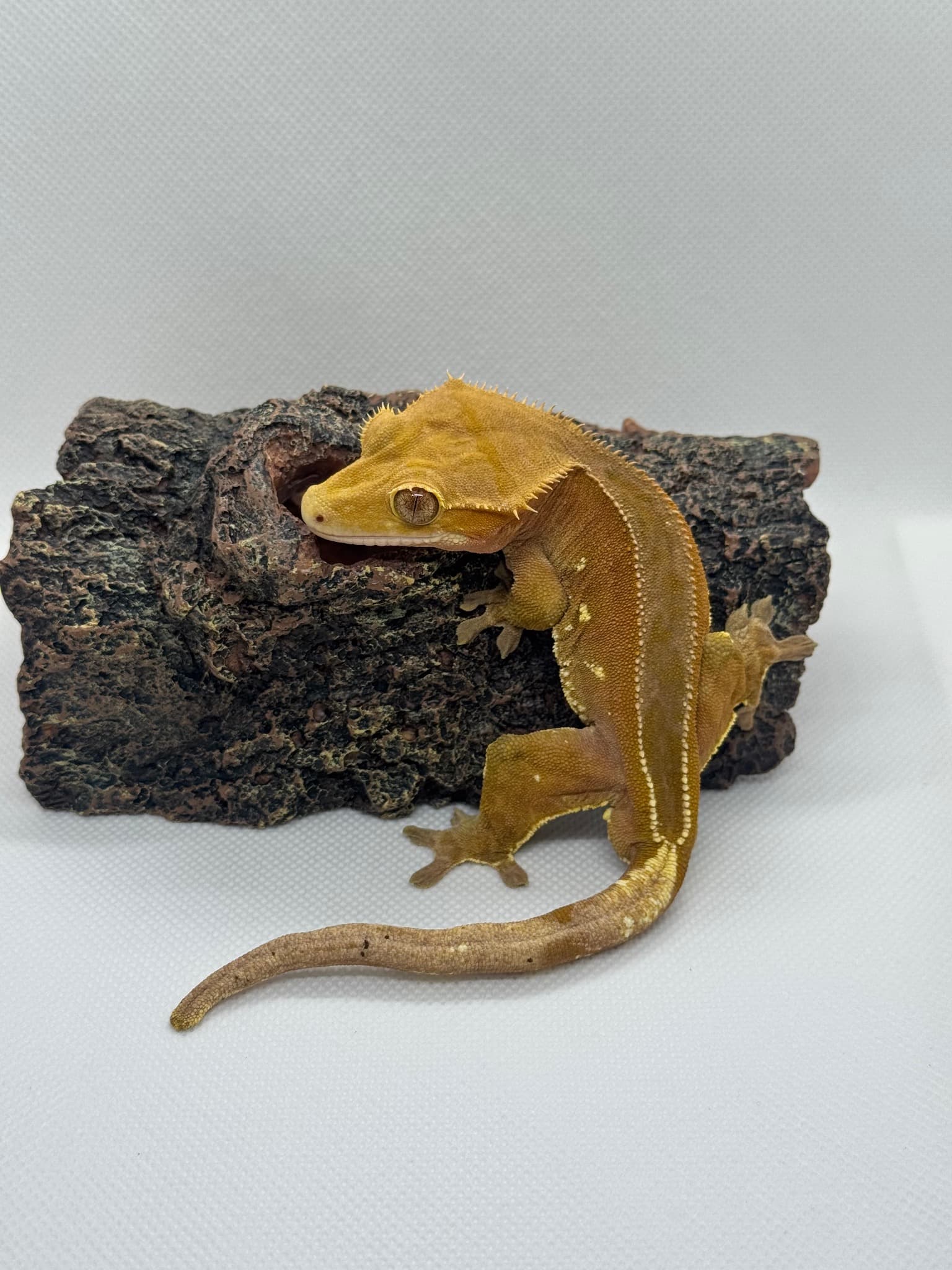 상품 이미지 1