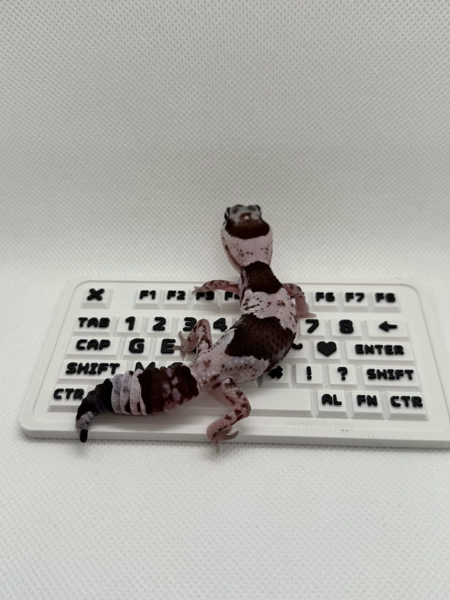 상품 이미지 5
