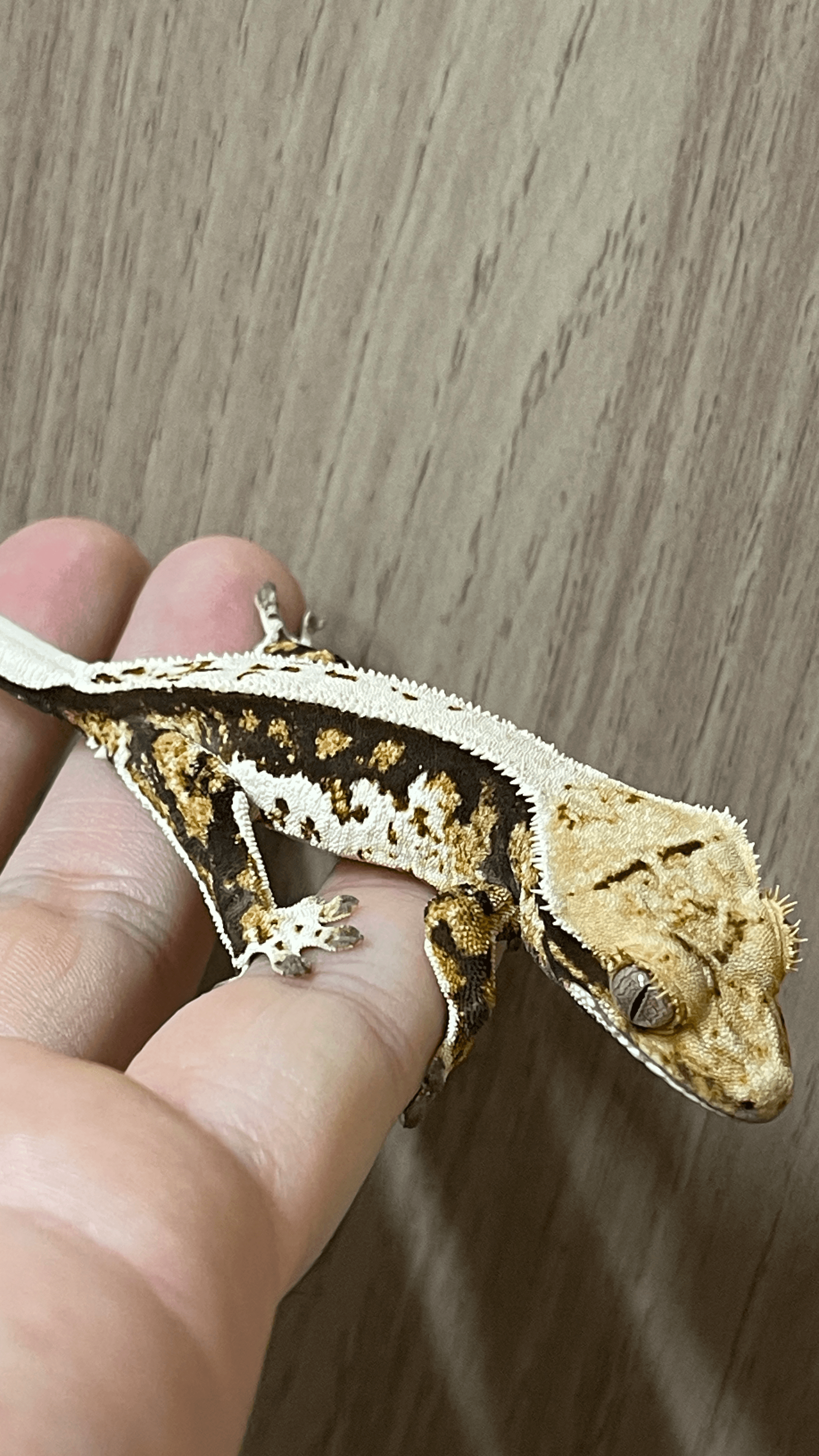 상품 이미지 3