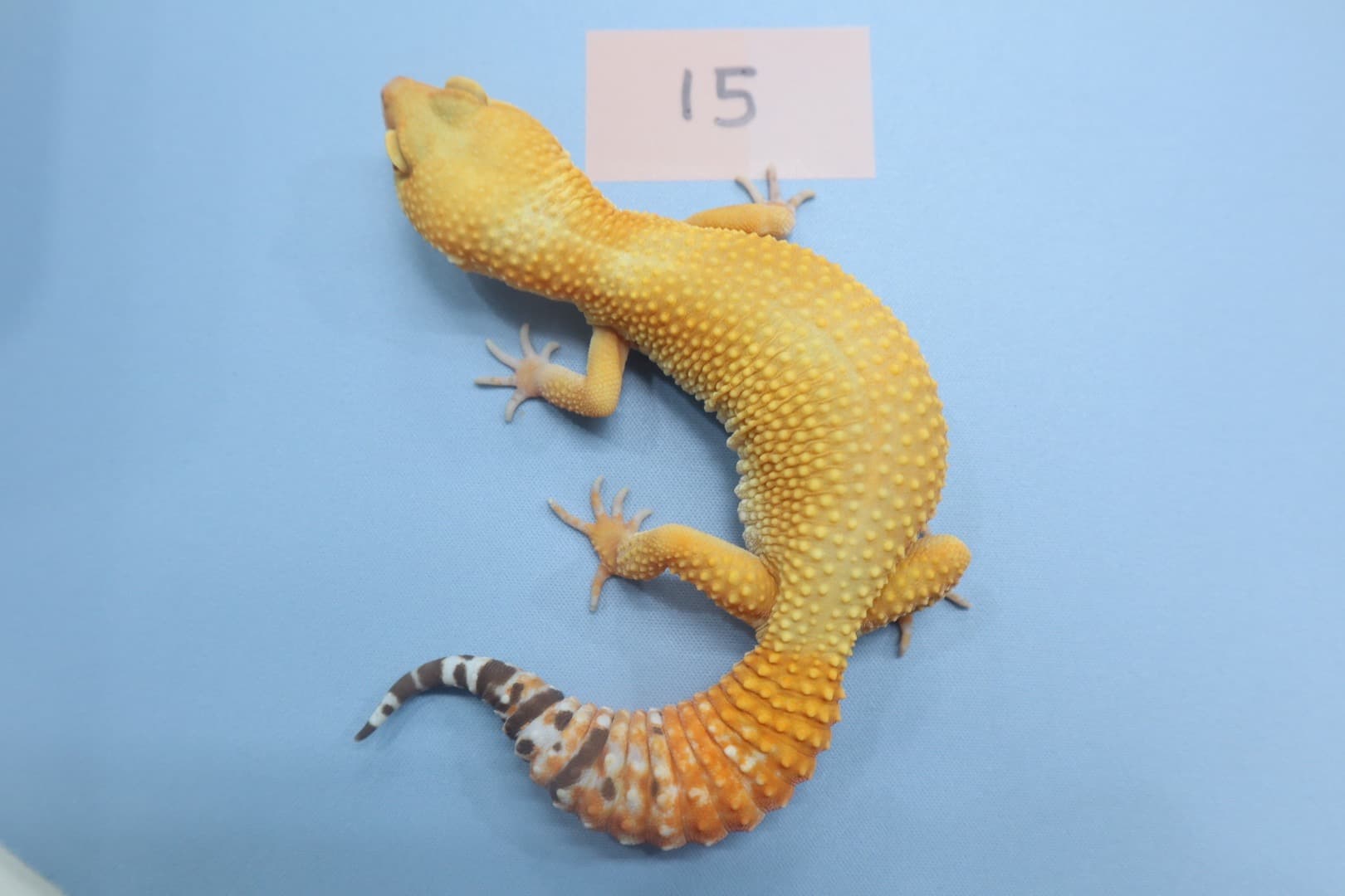 상품 이미지 1