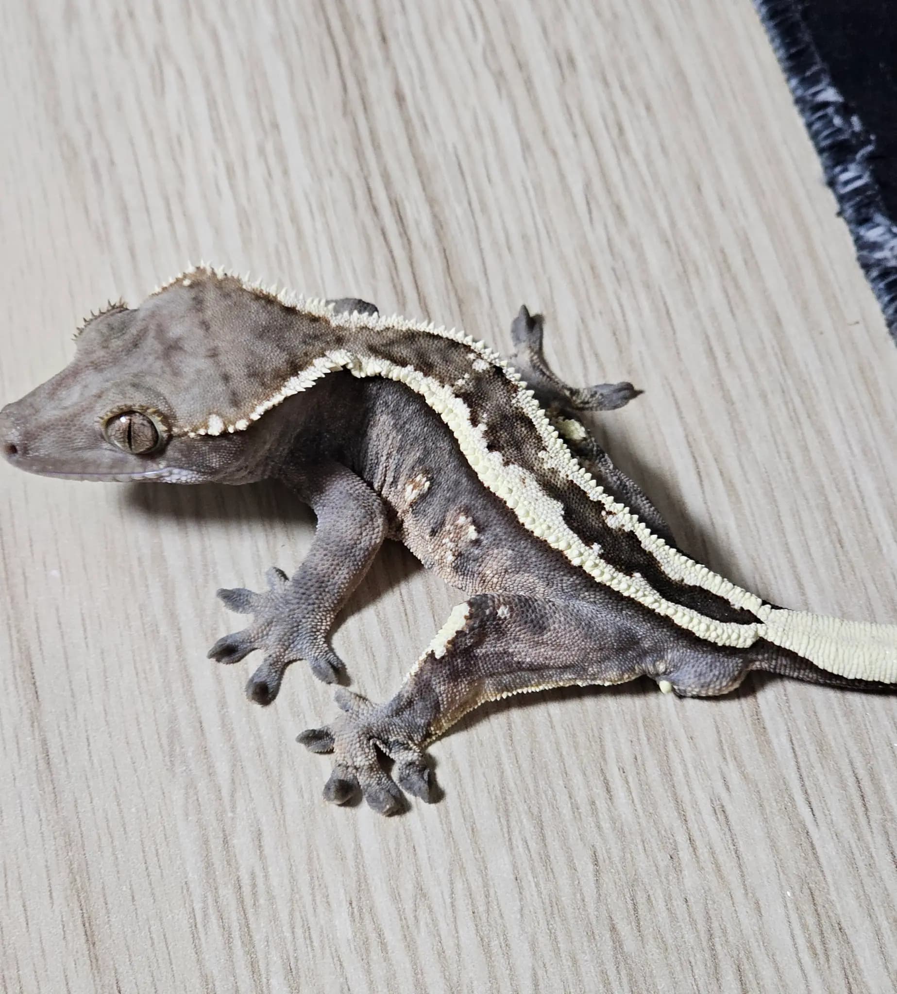 상품 이미지 1