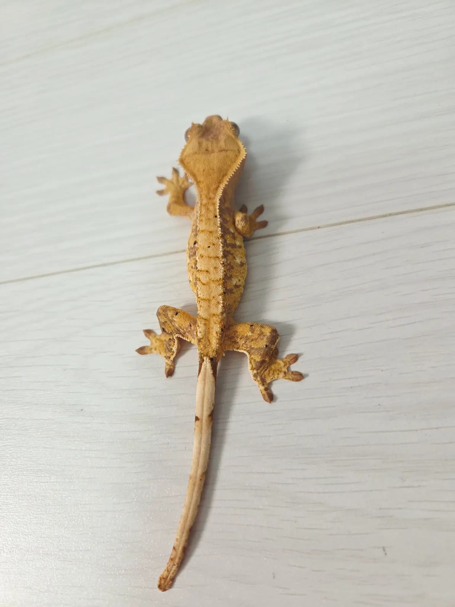 상품 이미지 3