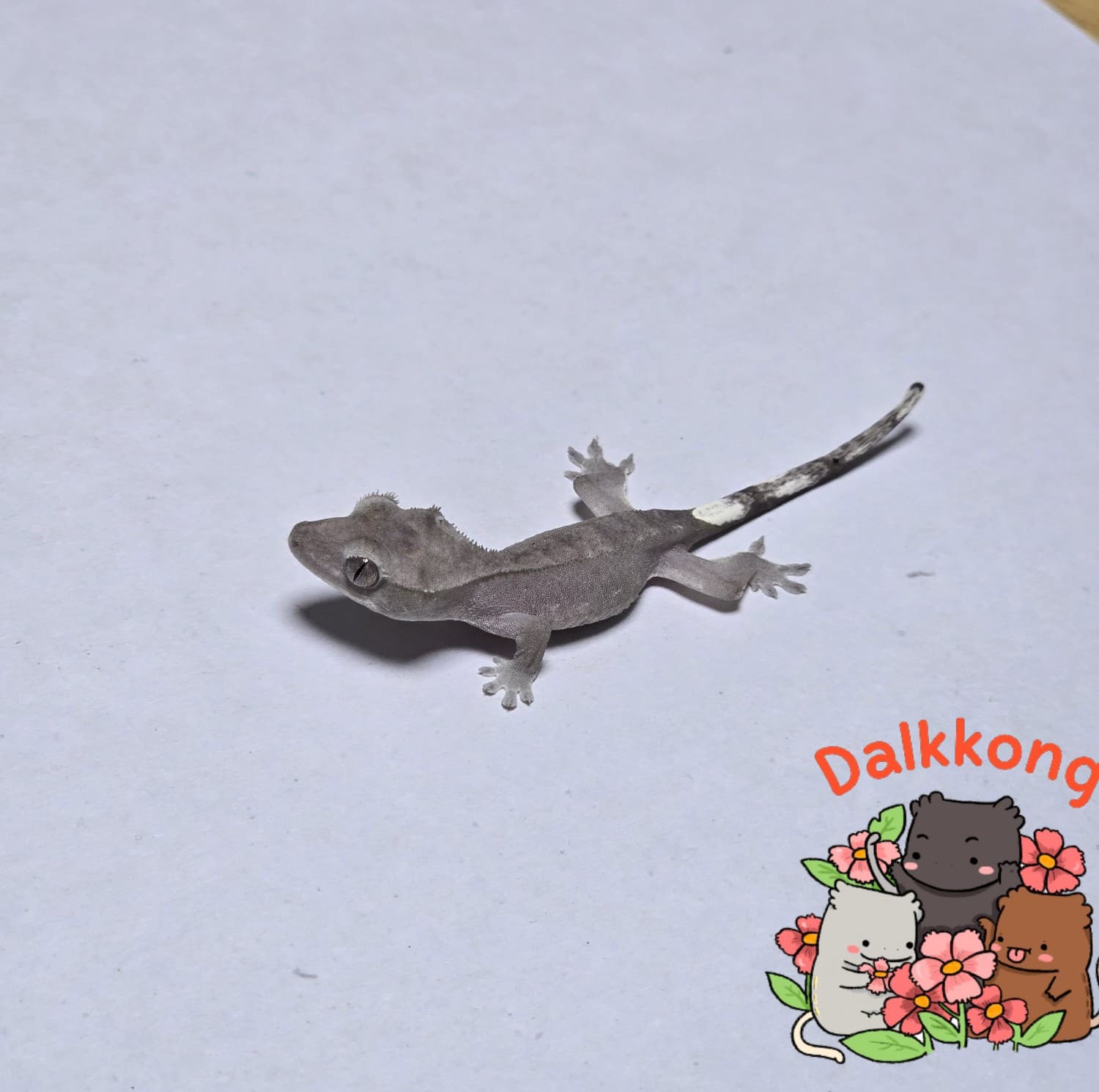 상품 이미지 4