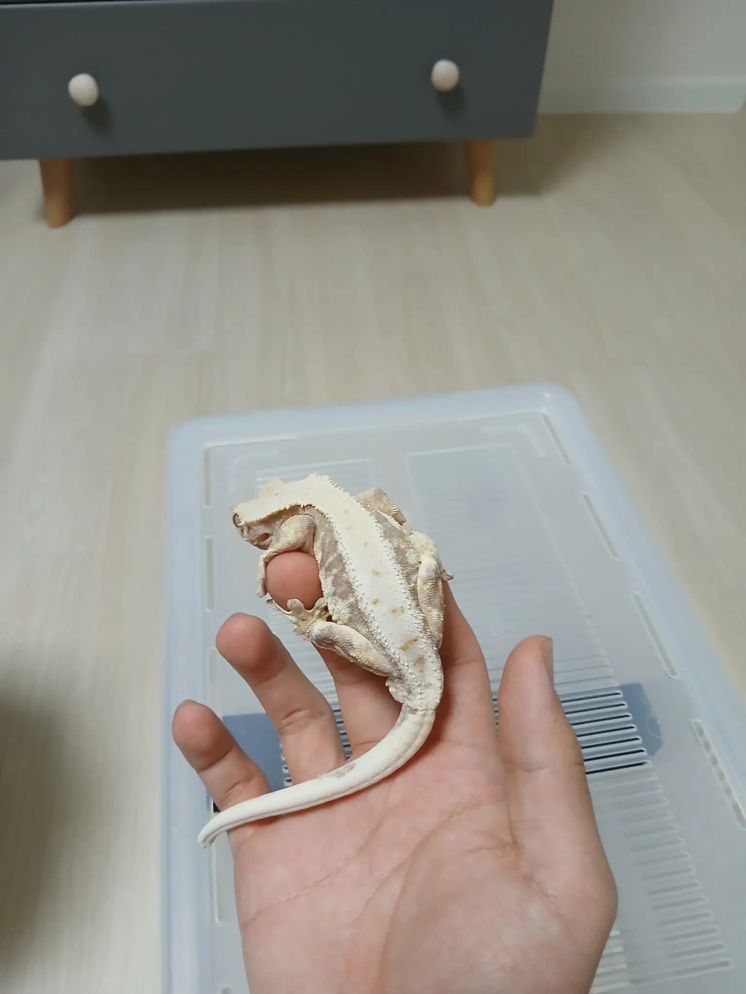 상품 이미지 3
