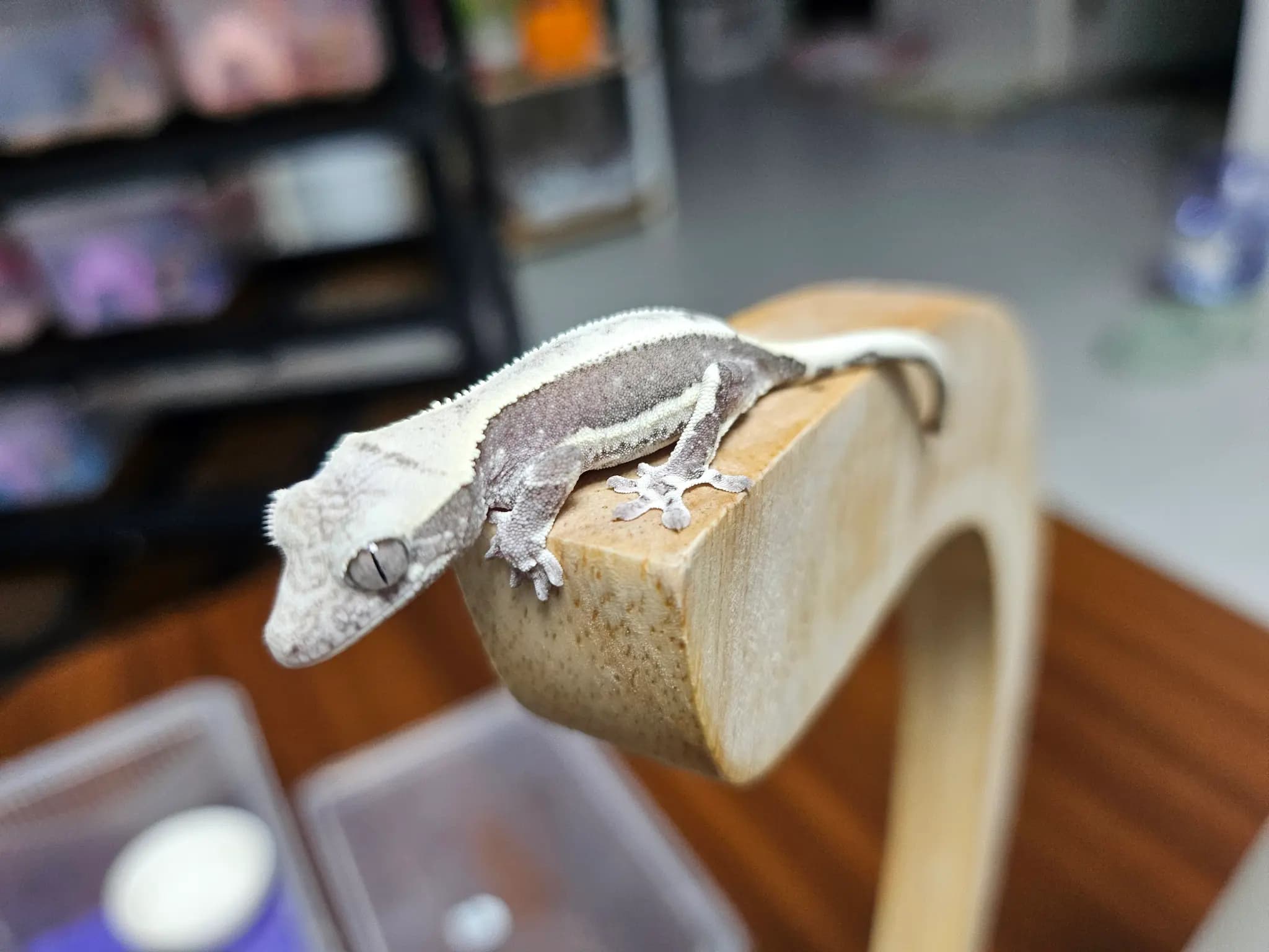 상품 이미지 3