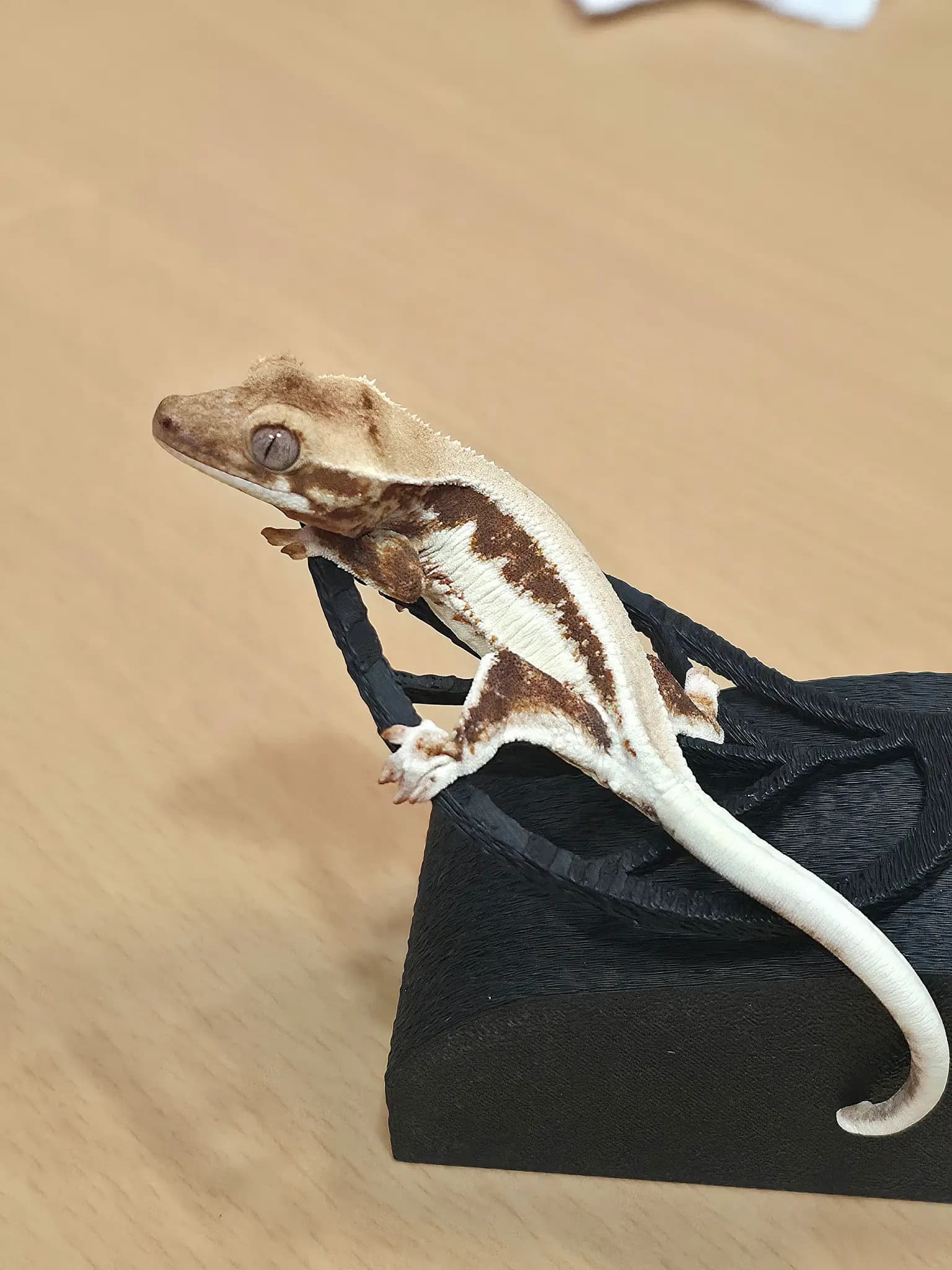 상품 이미지 1