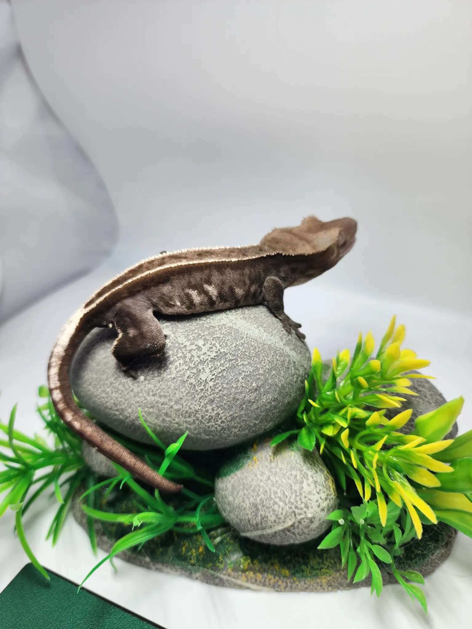 상품 이미지 2