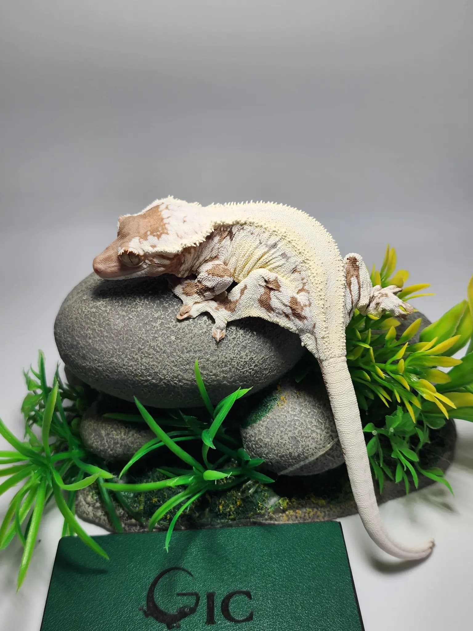상품 이미지 5