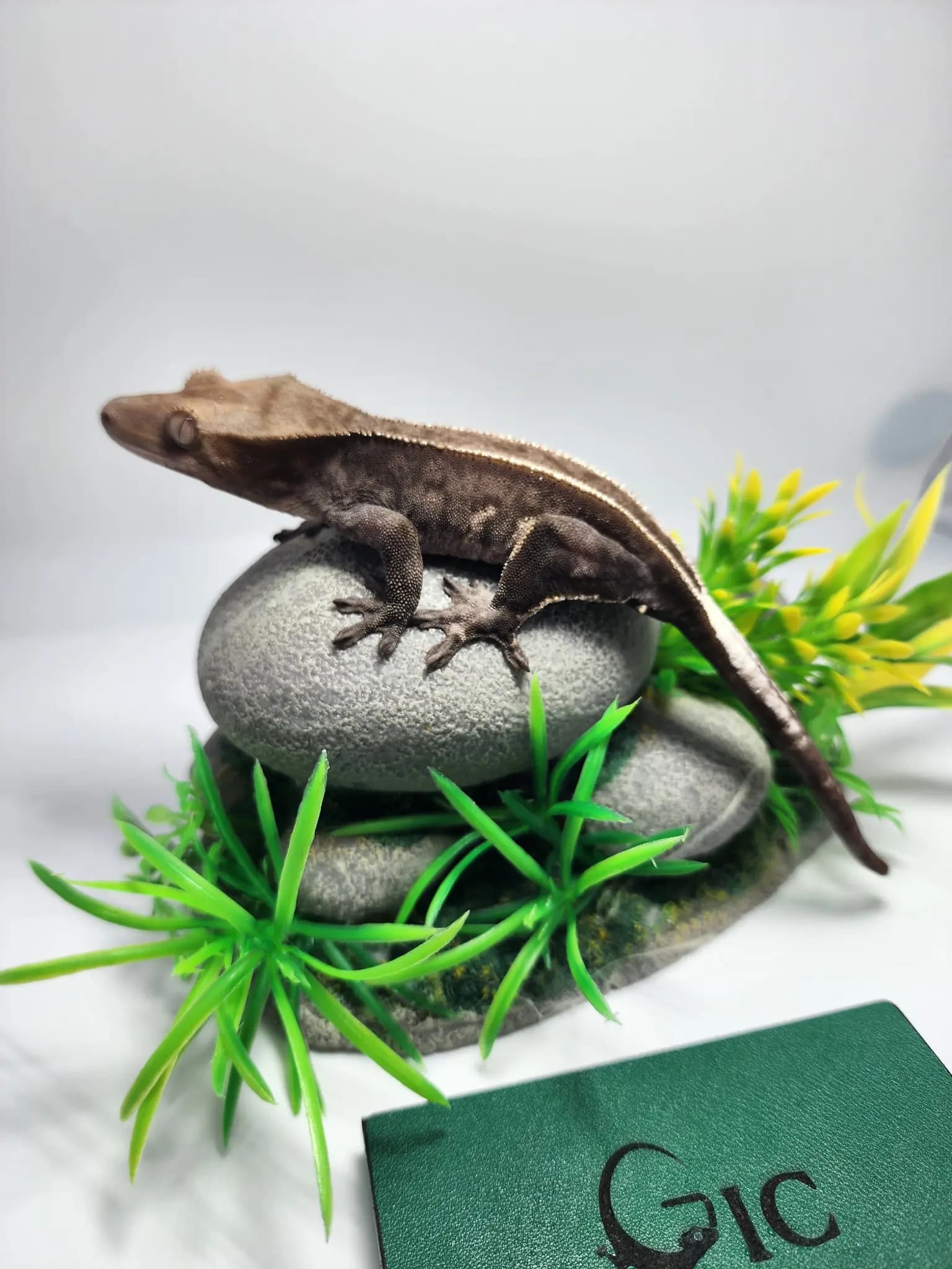 상품 이미지 3