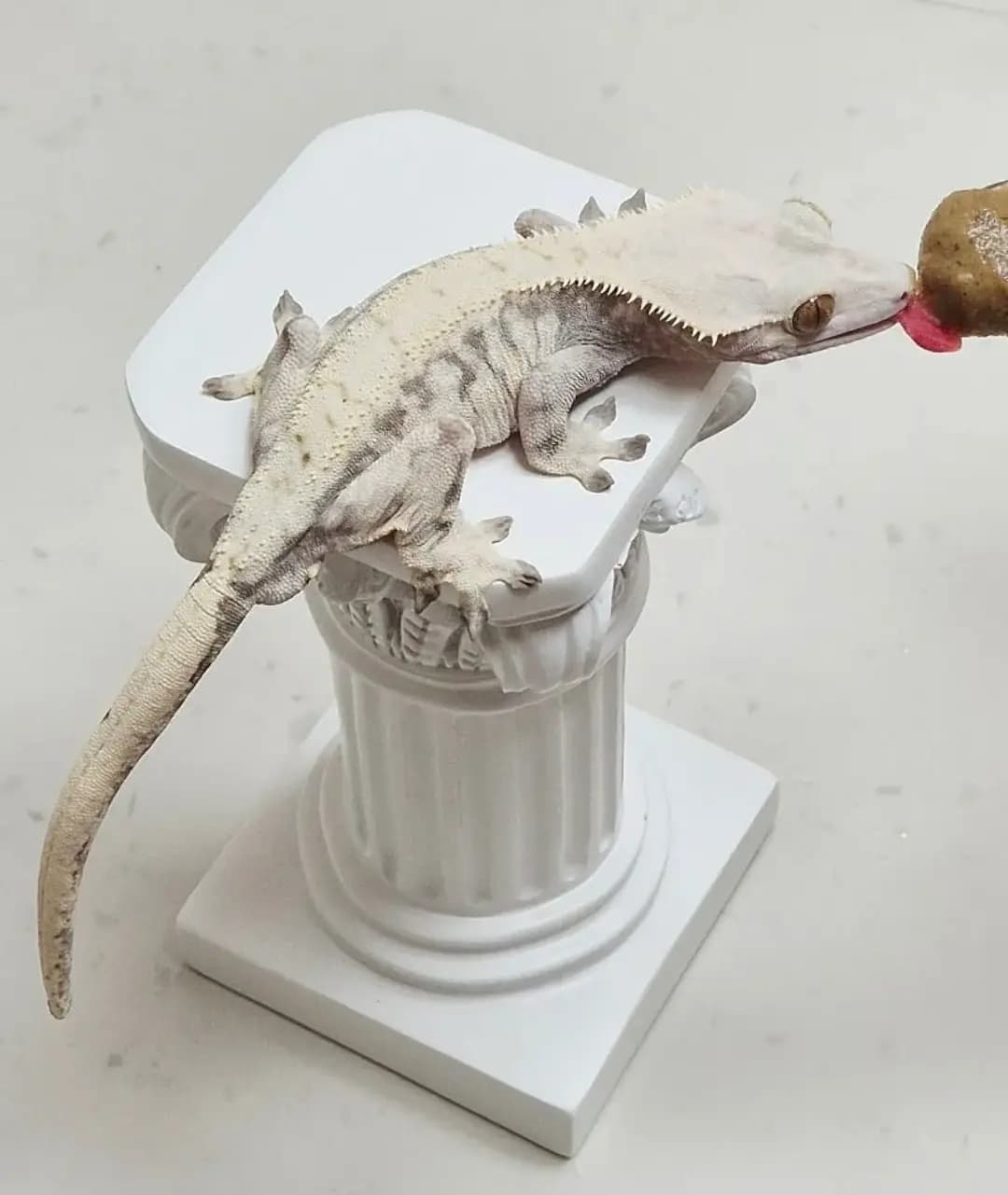 상품 이미지 1