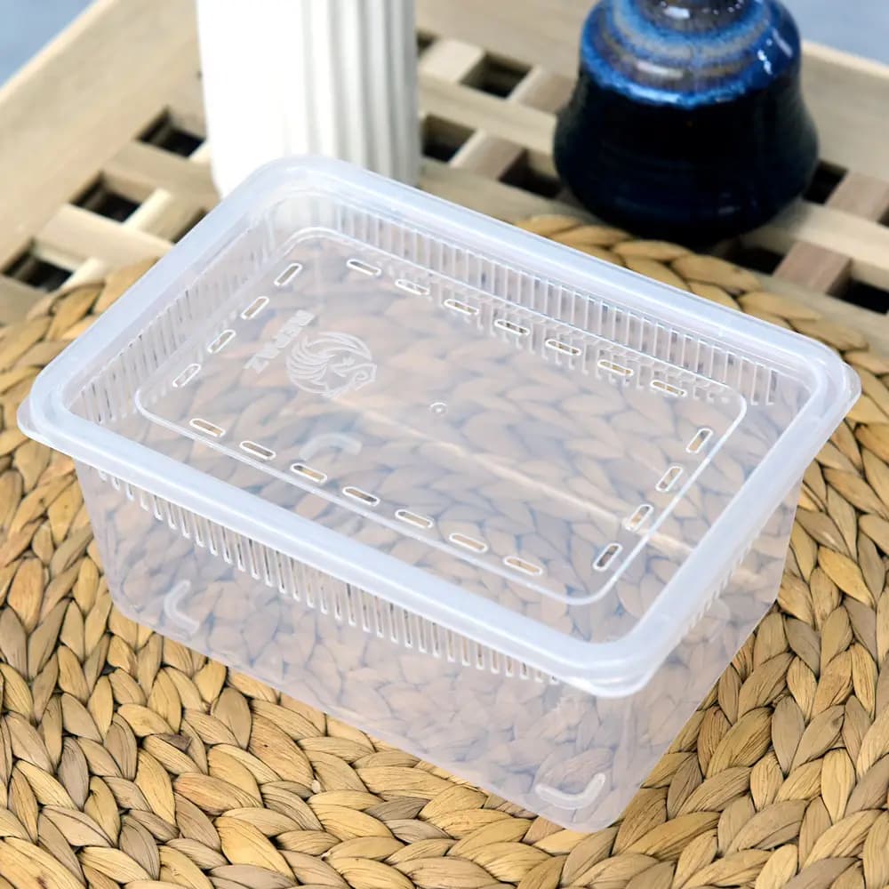레파즈 게코케이지 소 투명