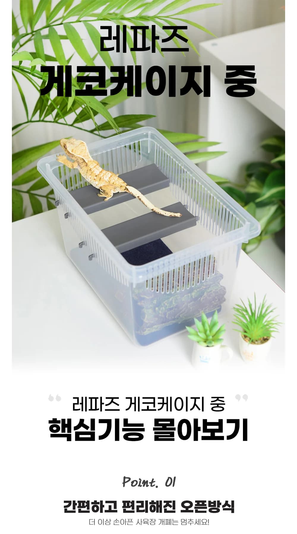 레파즈 게코케이지 중 블랙
