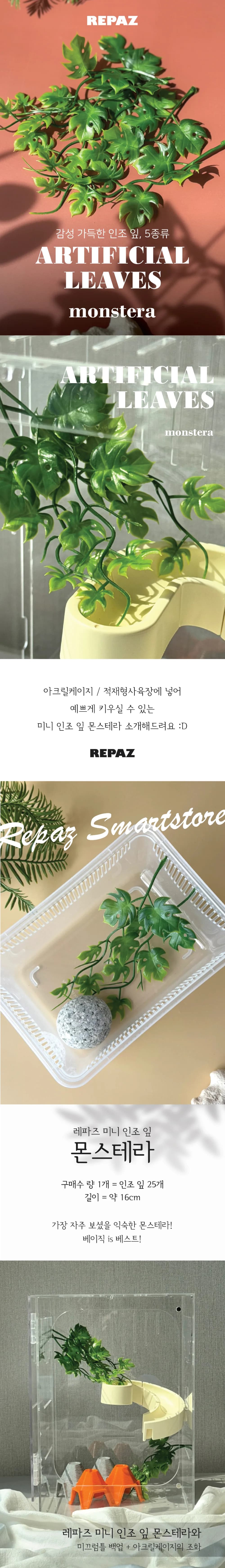 레파즈 미니 인조 잎 몬스테라(1봉지 25개입)